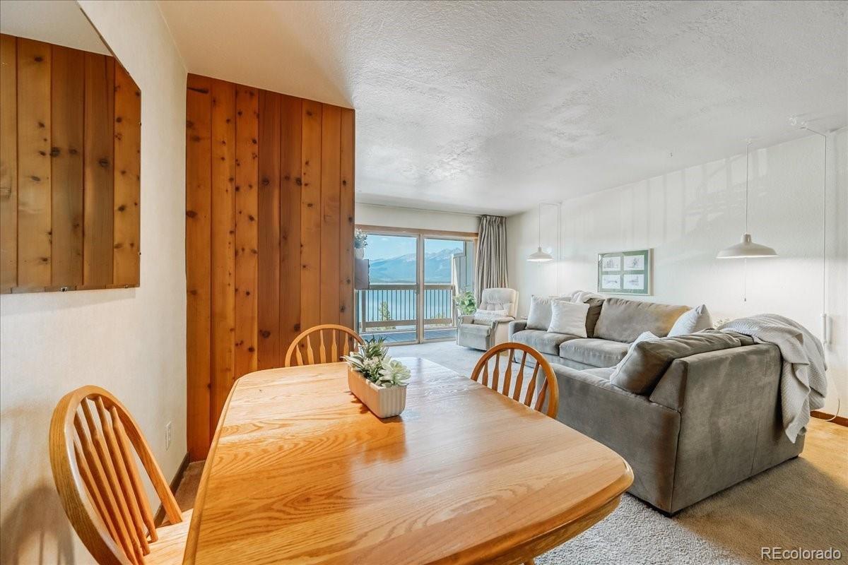 MLS Image #15 for 311 w la bonte street,dillon, Colorado