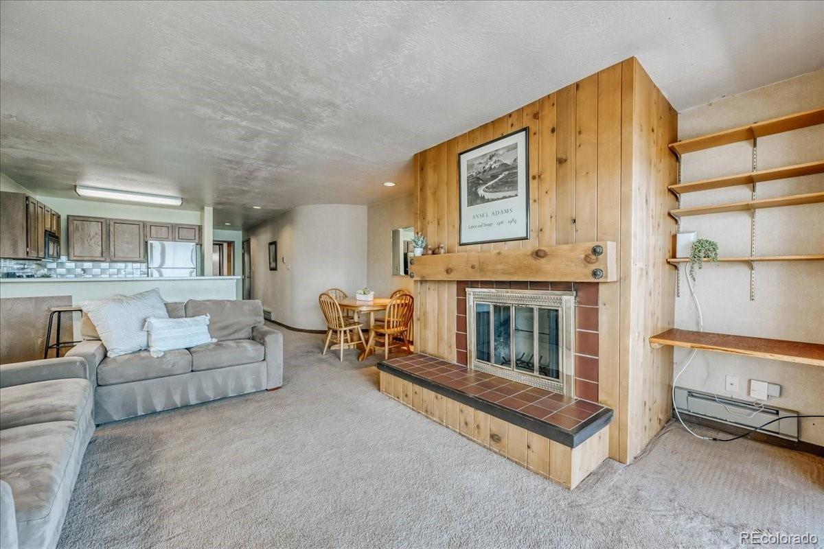 MLS Image #20 for 311 w la bonte street,dillon, Colorado