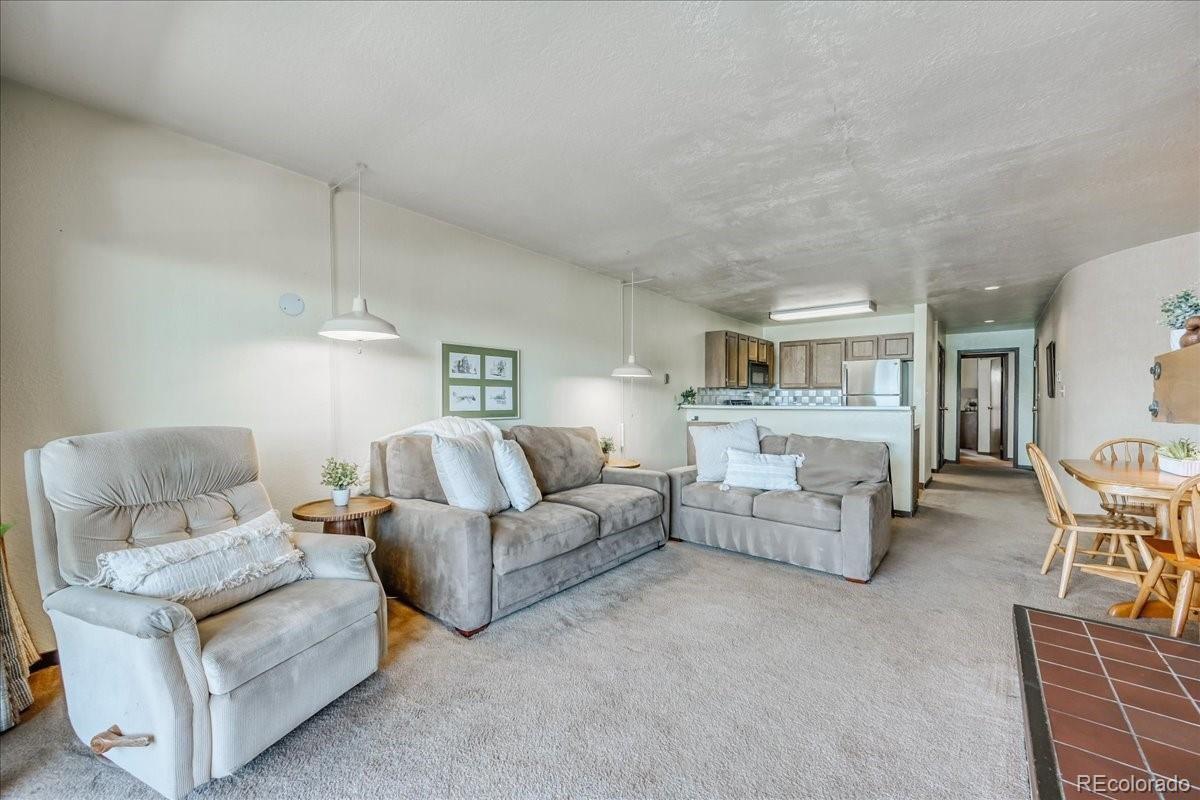 MLS Image #21 for 311 w la bonte street,dillon, Colorado