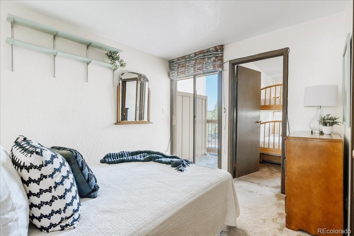 MLS Image #9 for 311 w la bonte street,dillon, Colorado