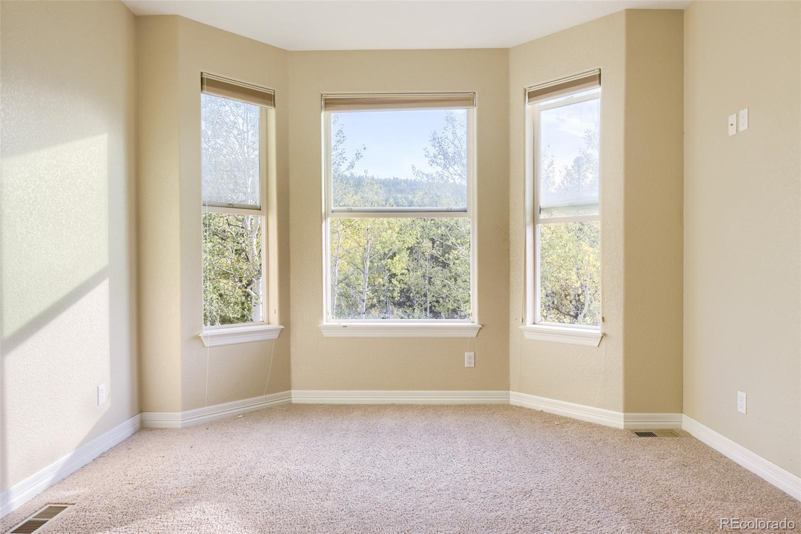 MLS Image #16 for 869 n vernon drive,central city, Colorado