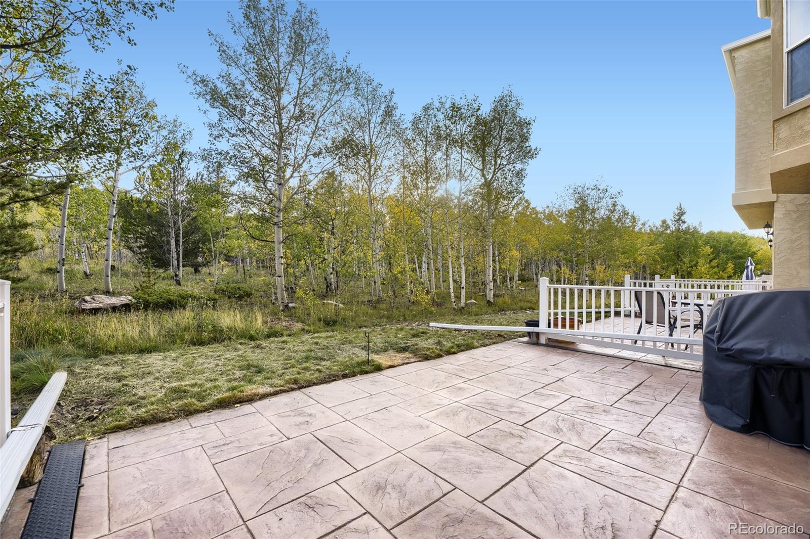 MLS Image #22 for 869 n vernon drive,central city, Colorado