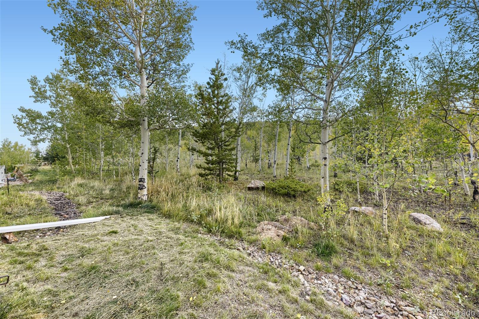 MLS Image #24 for 869 n vernon drive,central city, Colorado