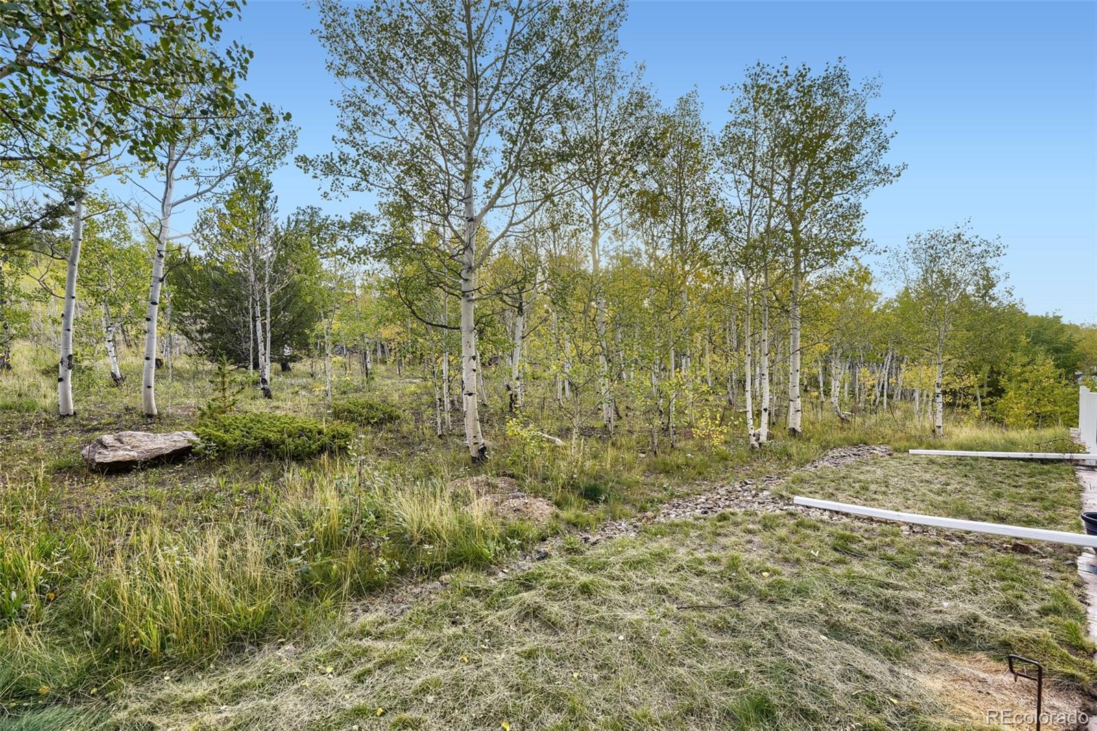 MLS Image #25 for 869 n vernon drive,central city, Colorado