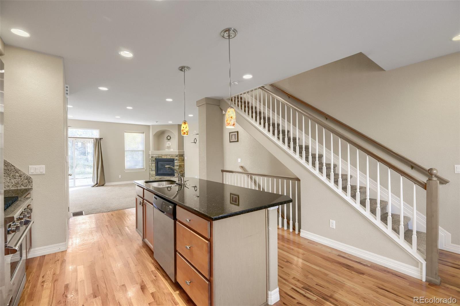 MLS Image #5 for 869 n vernon drive,central city, Colorado