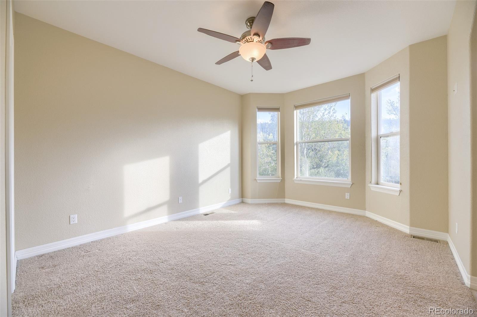 MLS Image #6 for 869 n vernon drive,central city, Colorado