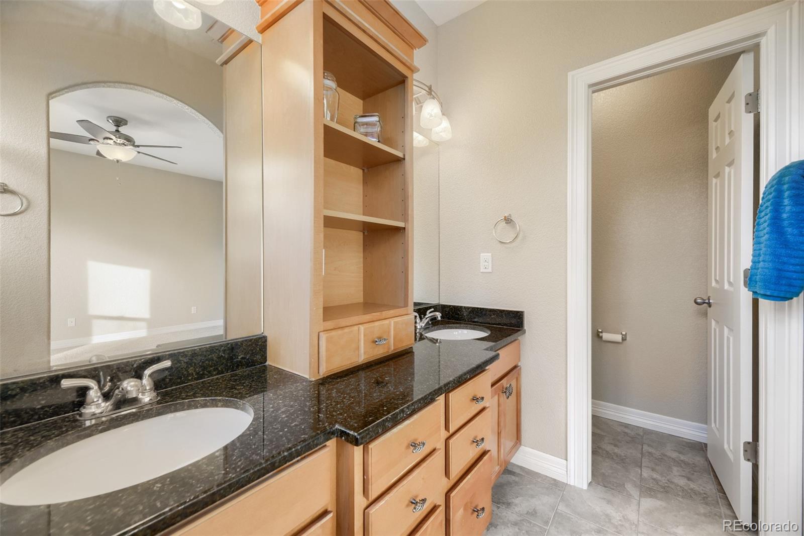 MLS Image #9 for 869 n vernon drive,central city, Colorado