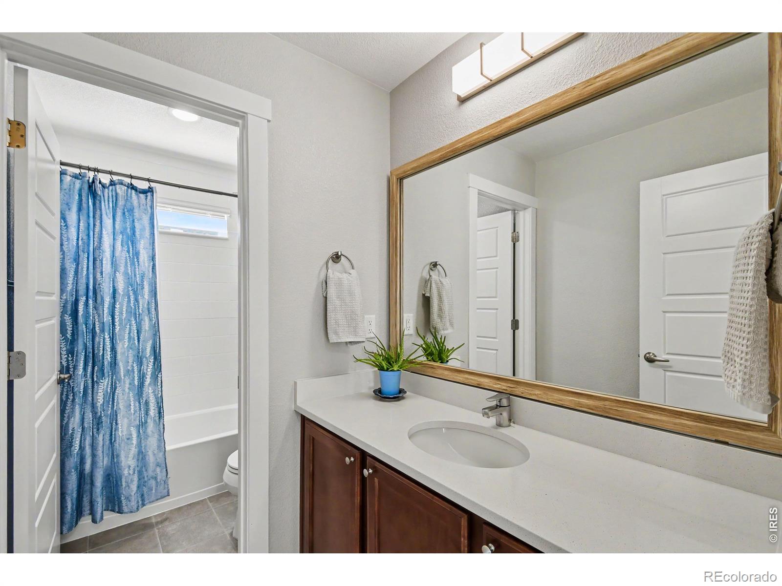 MLS Image #13 for 5087  brule drive,timnath, Colorado