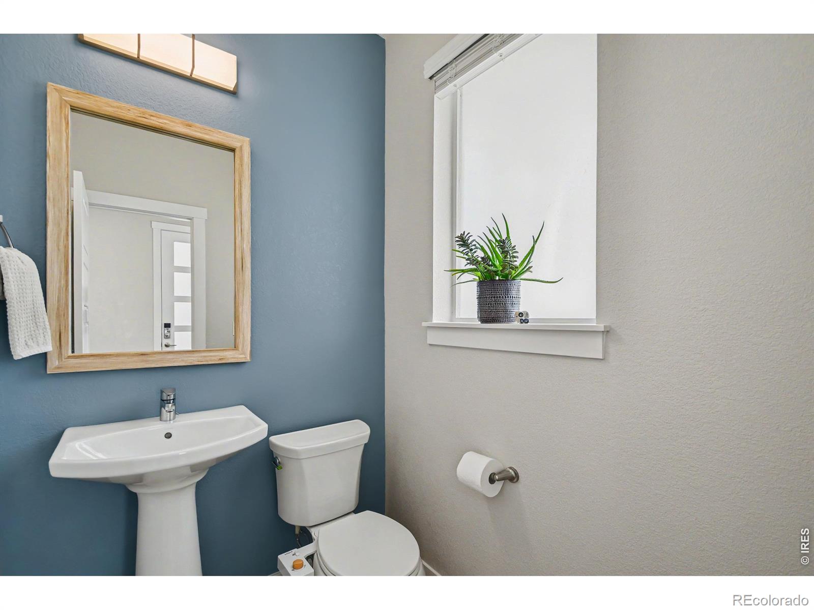 MLS Image #6 for 5087  brule drive,timnath, Colorado