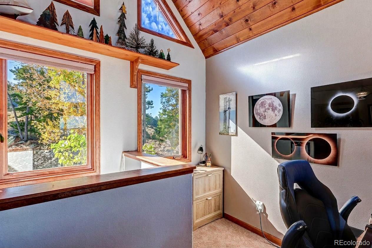 MLS Image #11 for 10181  city view drive,morrison, Colorado
