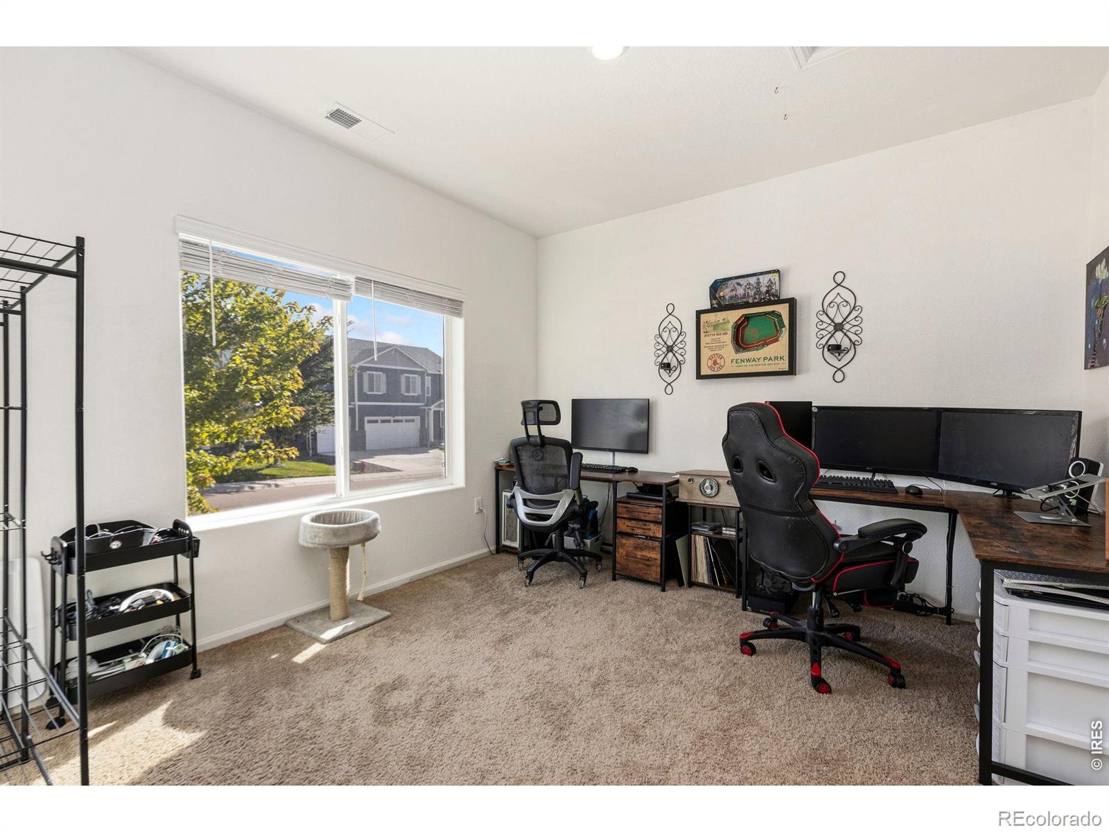 MLS Image #13 for 989  cascade falls street,severance, Colorado