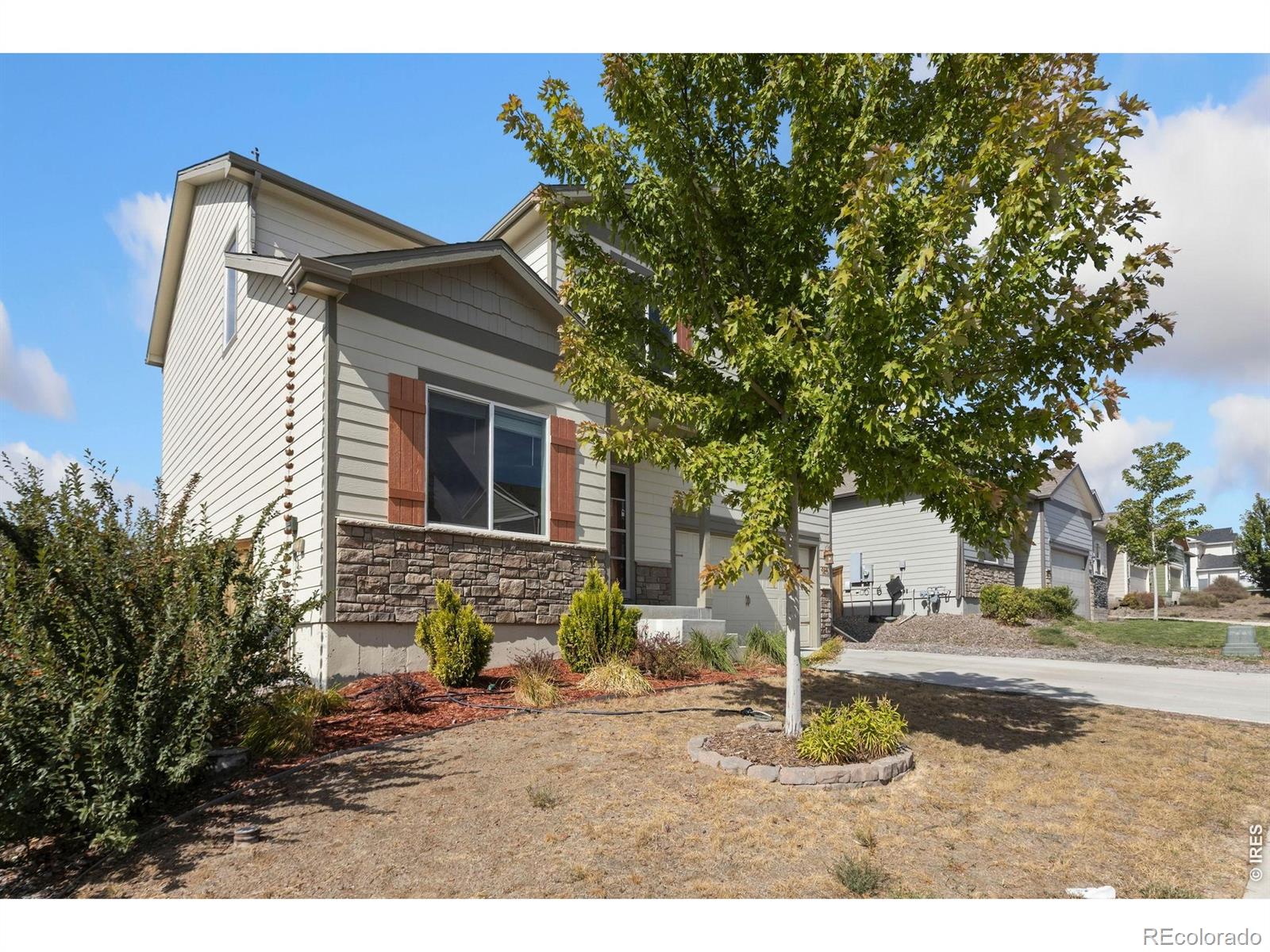MLS Image #2 for 989  cascade falls street,severance, Colorado
