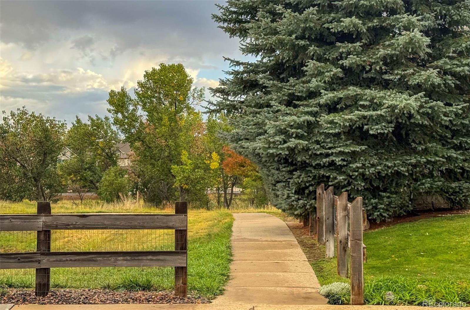 MLS Image #14 for 11263  glenmoor circle,parker, Colorado