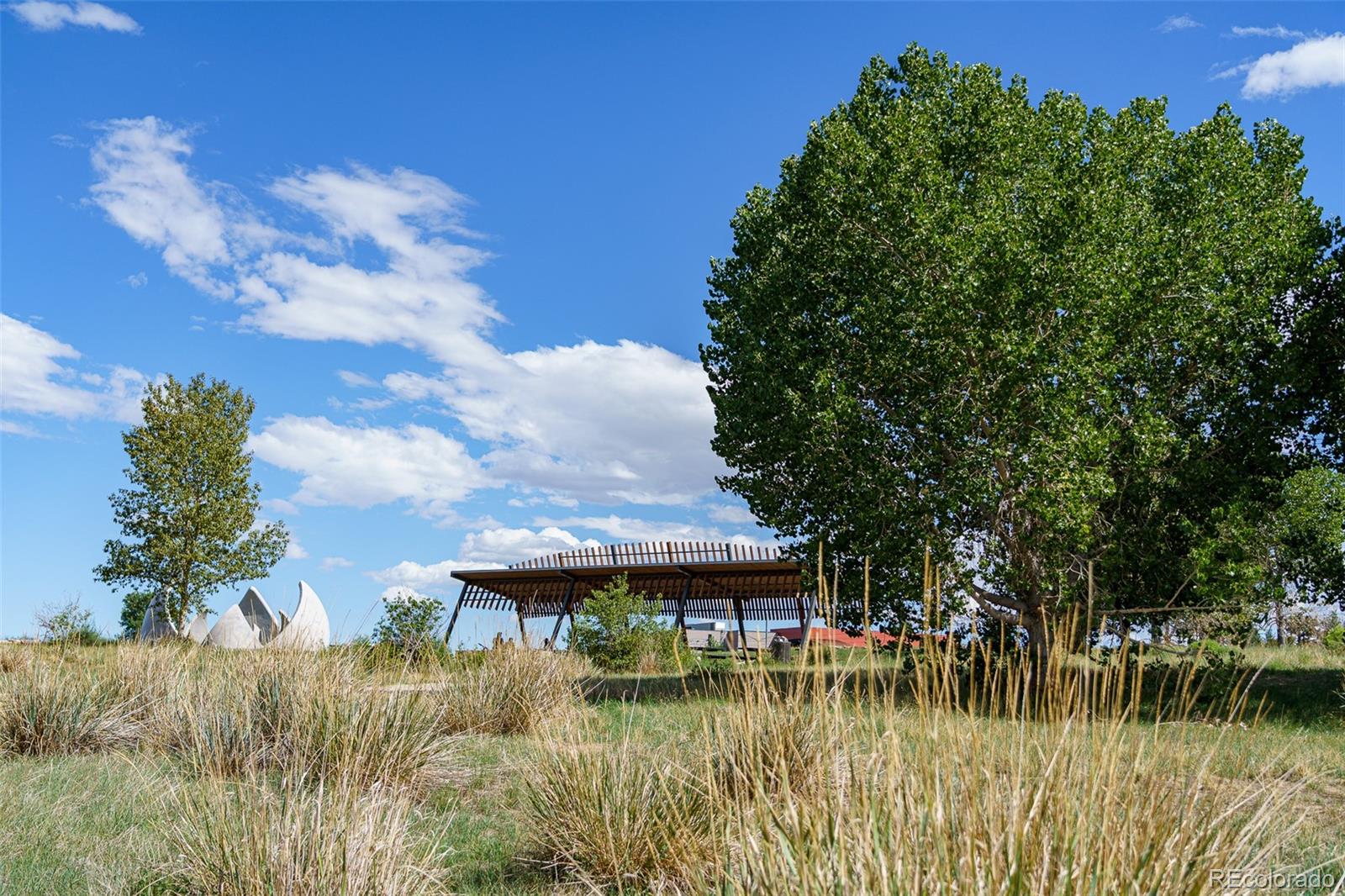 MLS Image #40 for 2600  moline street,denver, Colorado