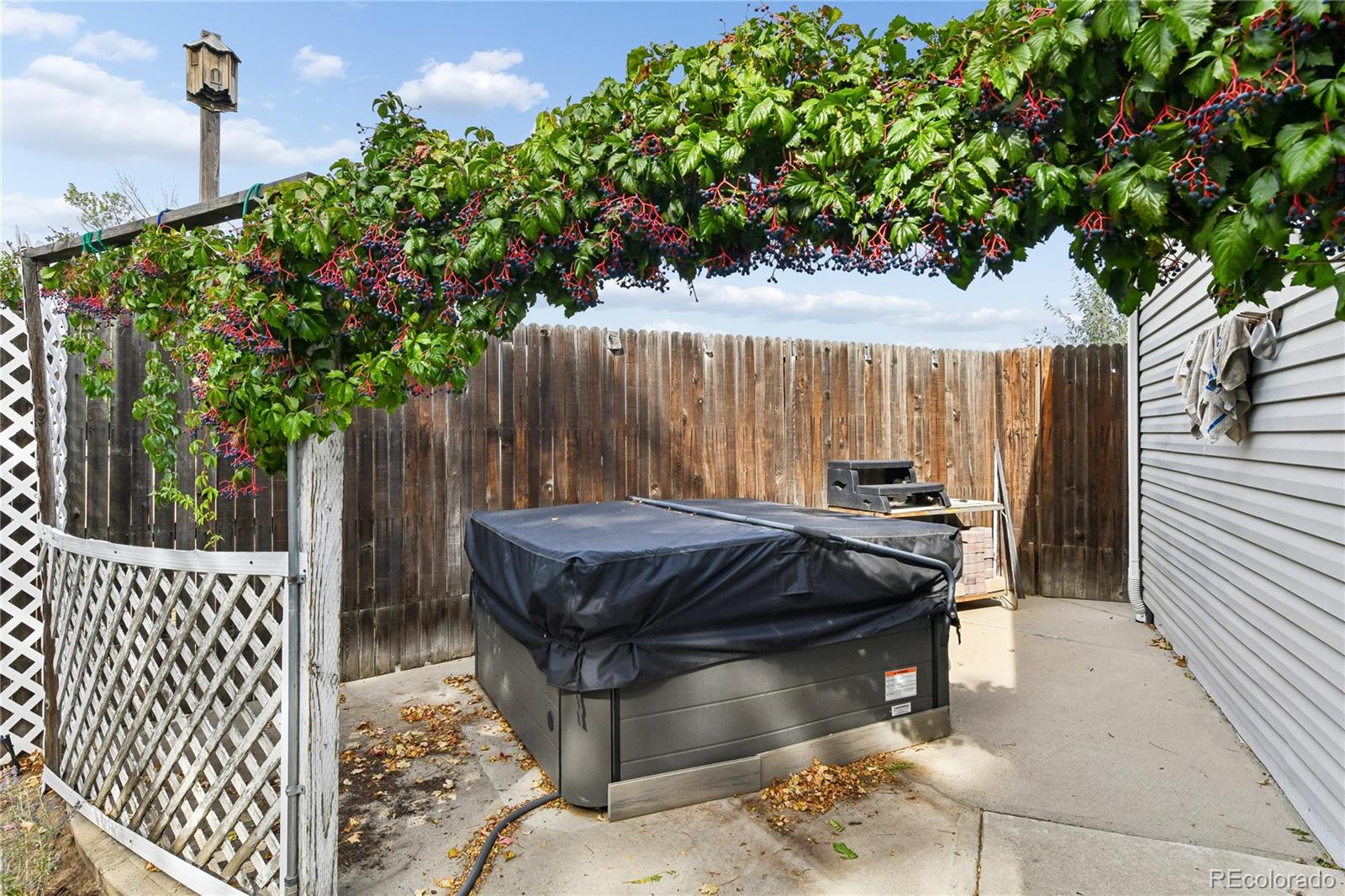 MLS Image #2 for 100  flora court,frederick, Colorado