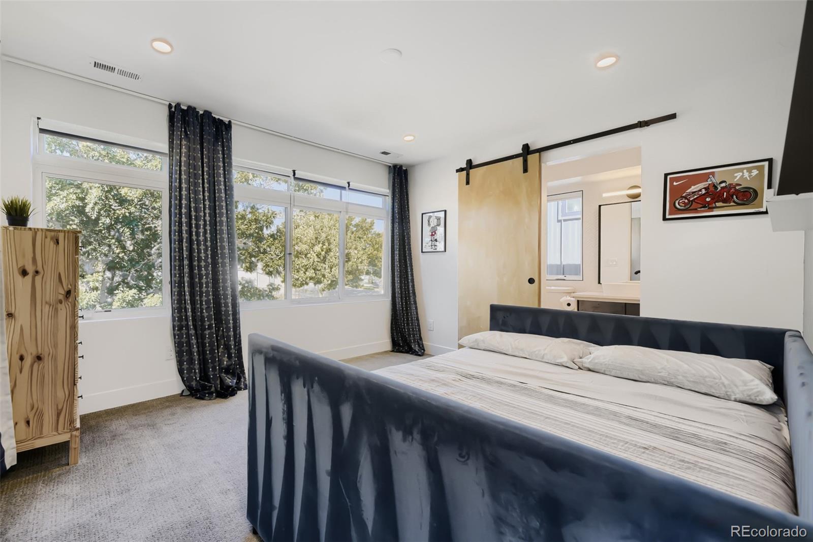 MLS Image #14 for 3548  lipan street,denver, Colorado