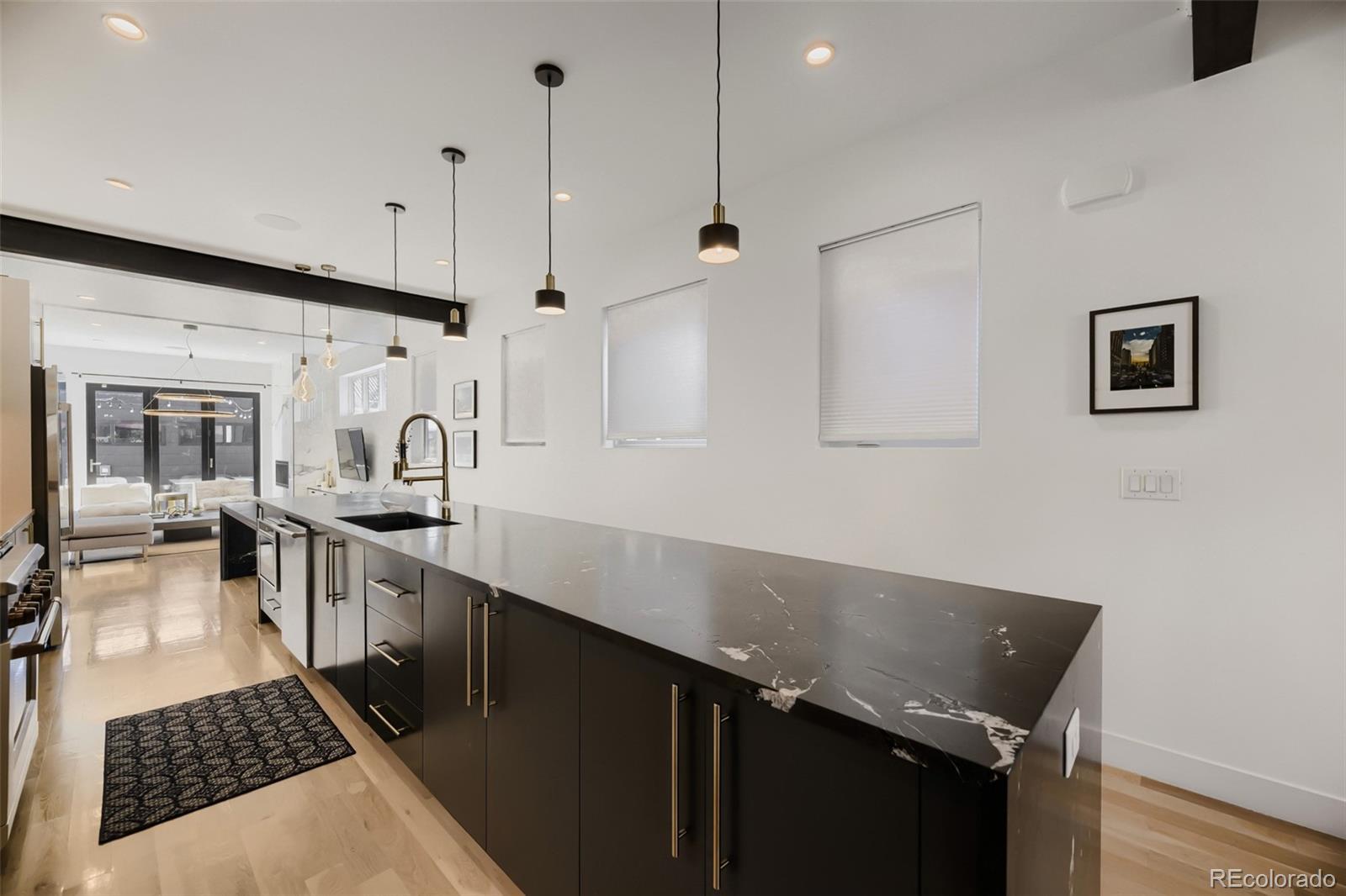 MLS Image #7 for 3548  lipan street,denver, Colorado
