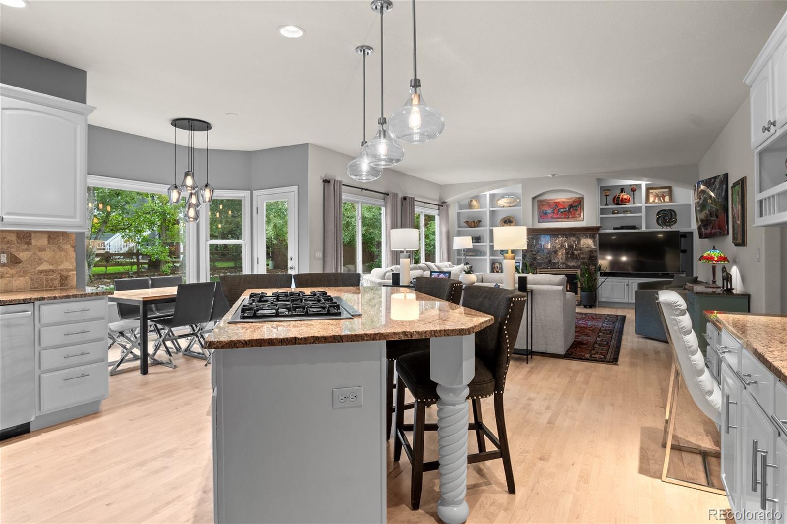 MLS Image #13 for 10124  quarry hill place,parker, Colorado