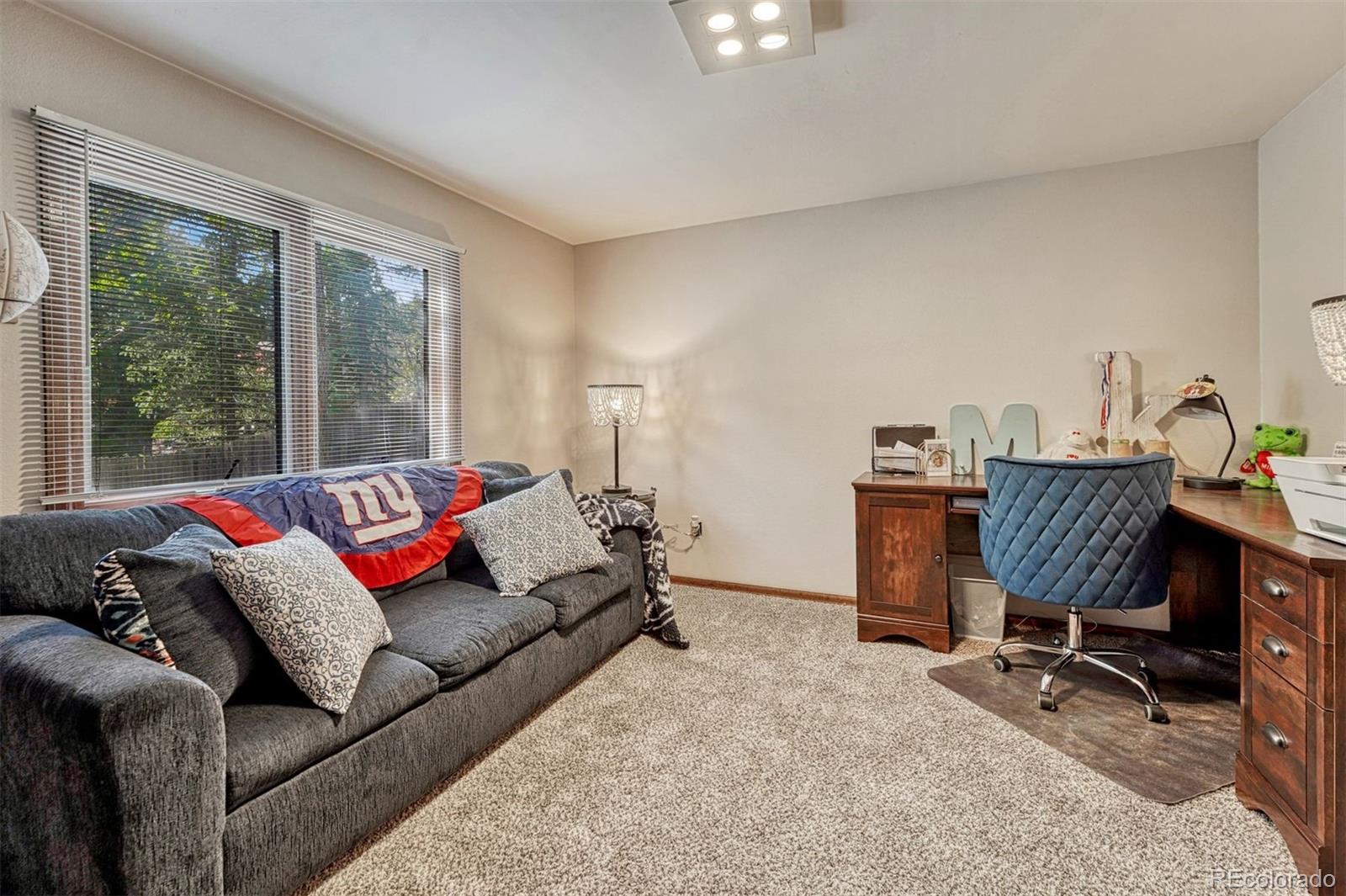 MLS Image #22 for 1602  vickers drive,colorado springs, Colorado