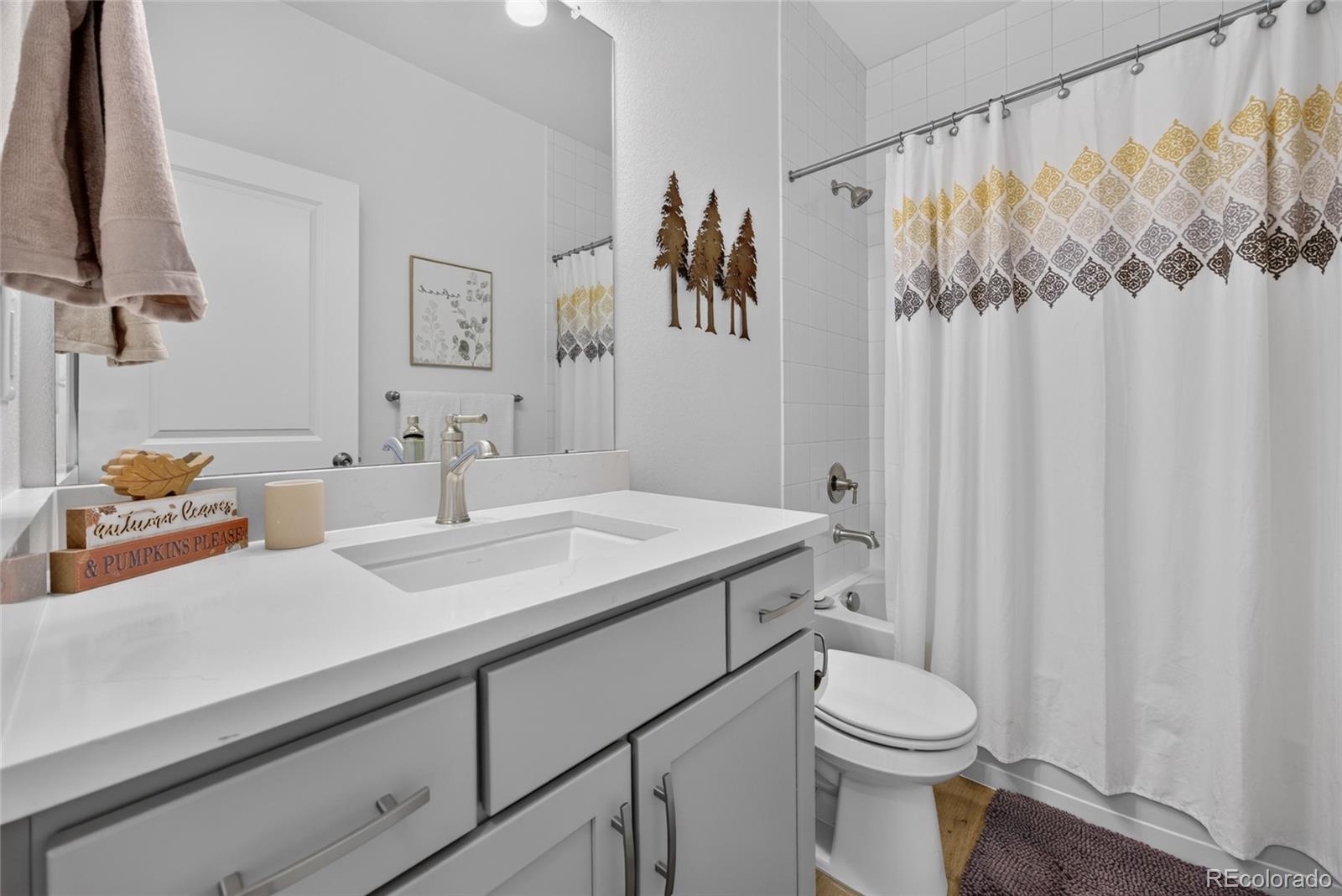 MLS Image #5 for 11889  sea oats street,parker, Colorado