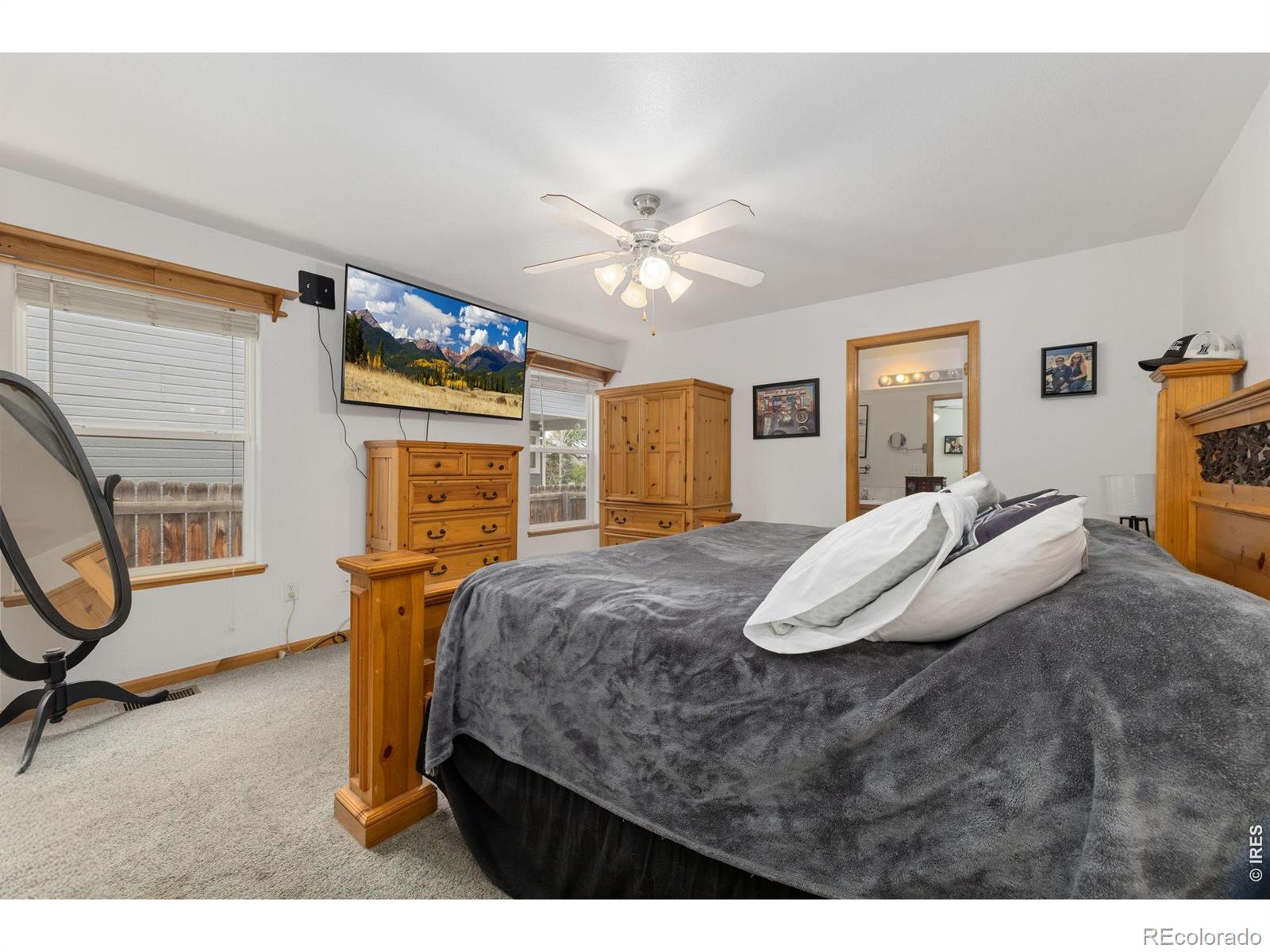 MLS Image #14 for 319  river rock drive,johnstown, Colorado
