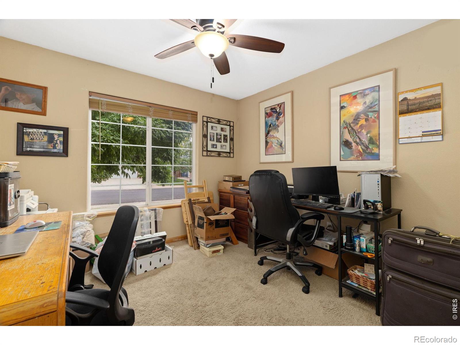 MLS Image #19 for 319  river rock drive,johnstown, Colorado