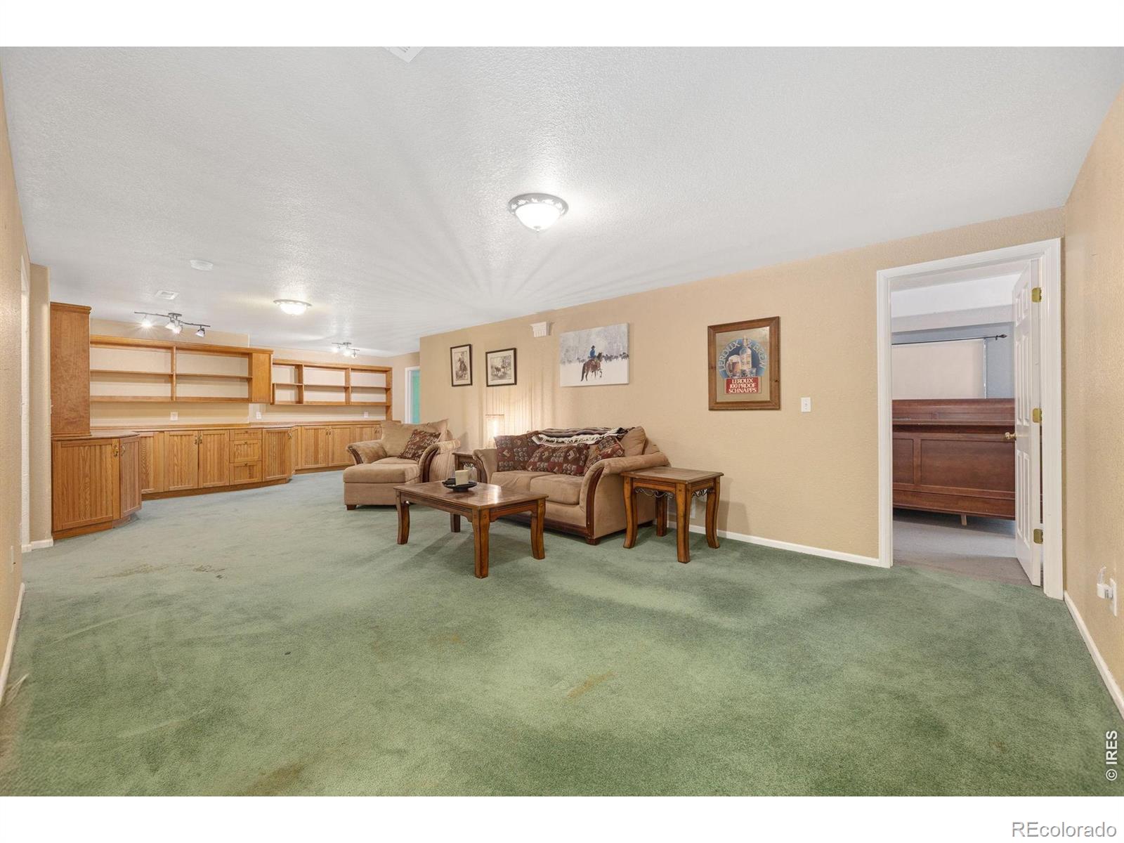 MLS Image #20 for 319  river rock drive,johnstown, Colorado