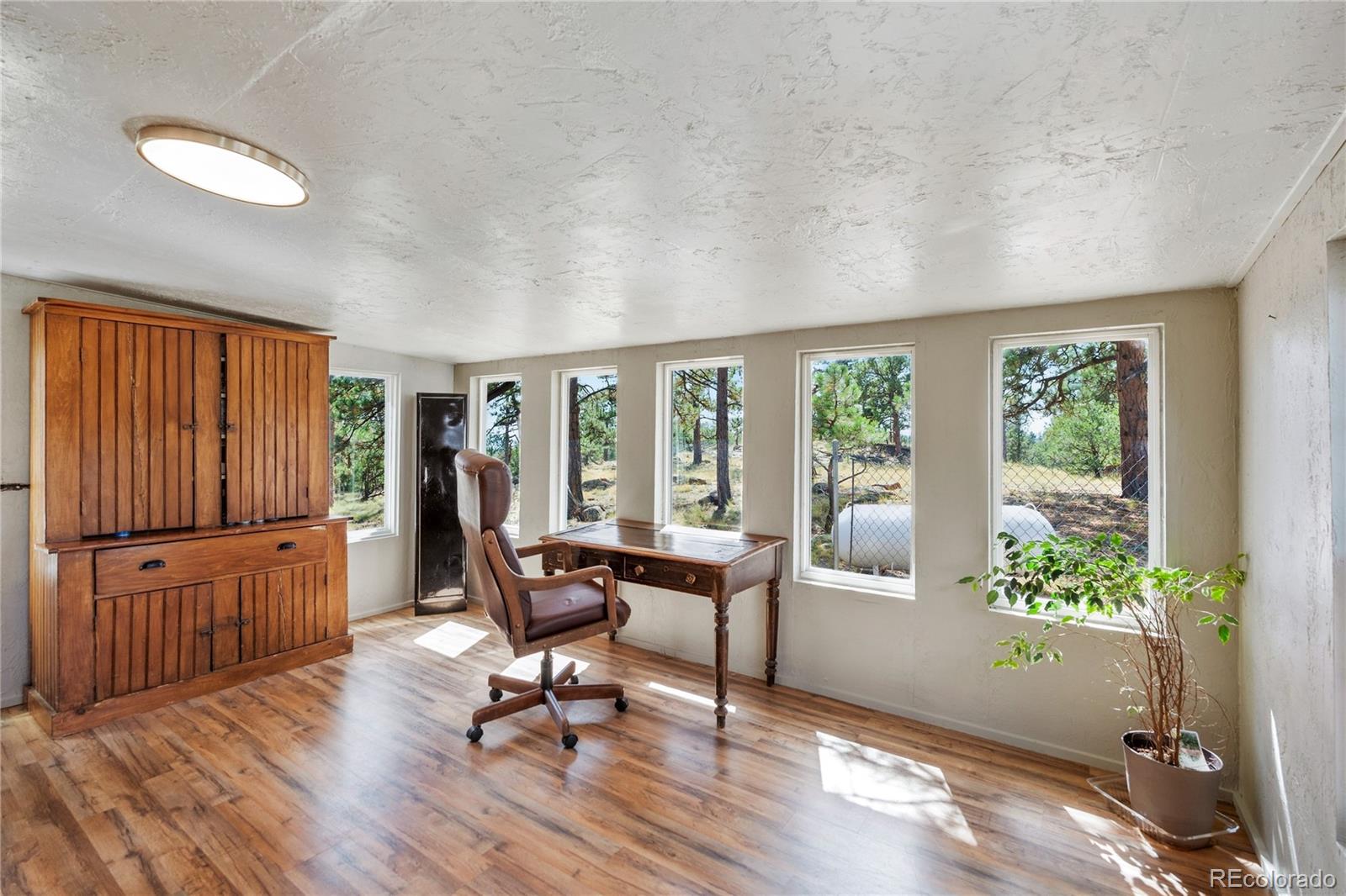 MLS Image #10 for 957  arapahoe drive,florissant, Colorado