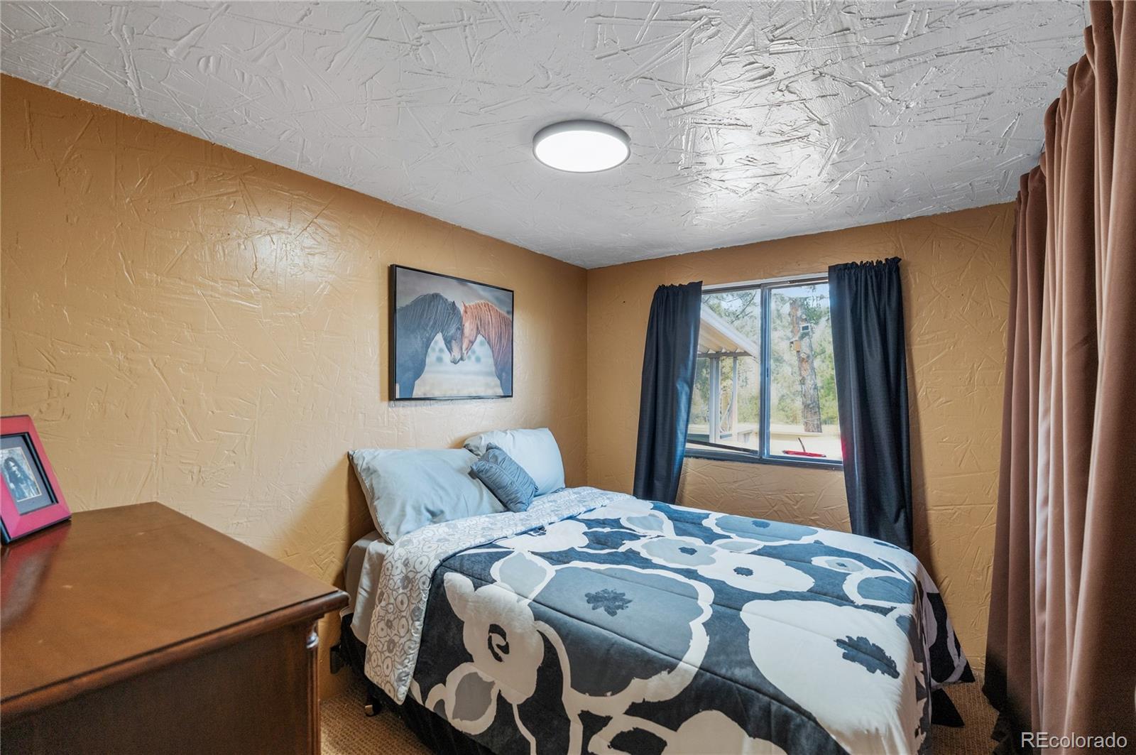MLS Image #15 for 957  arapahoe drive,florissant, Colorado