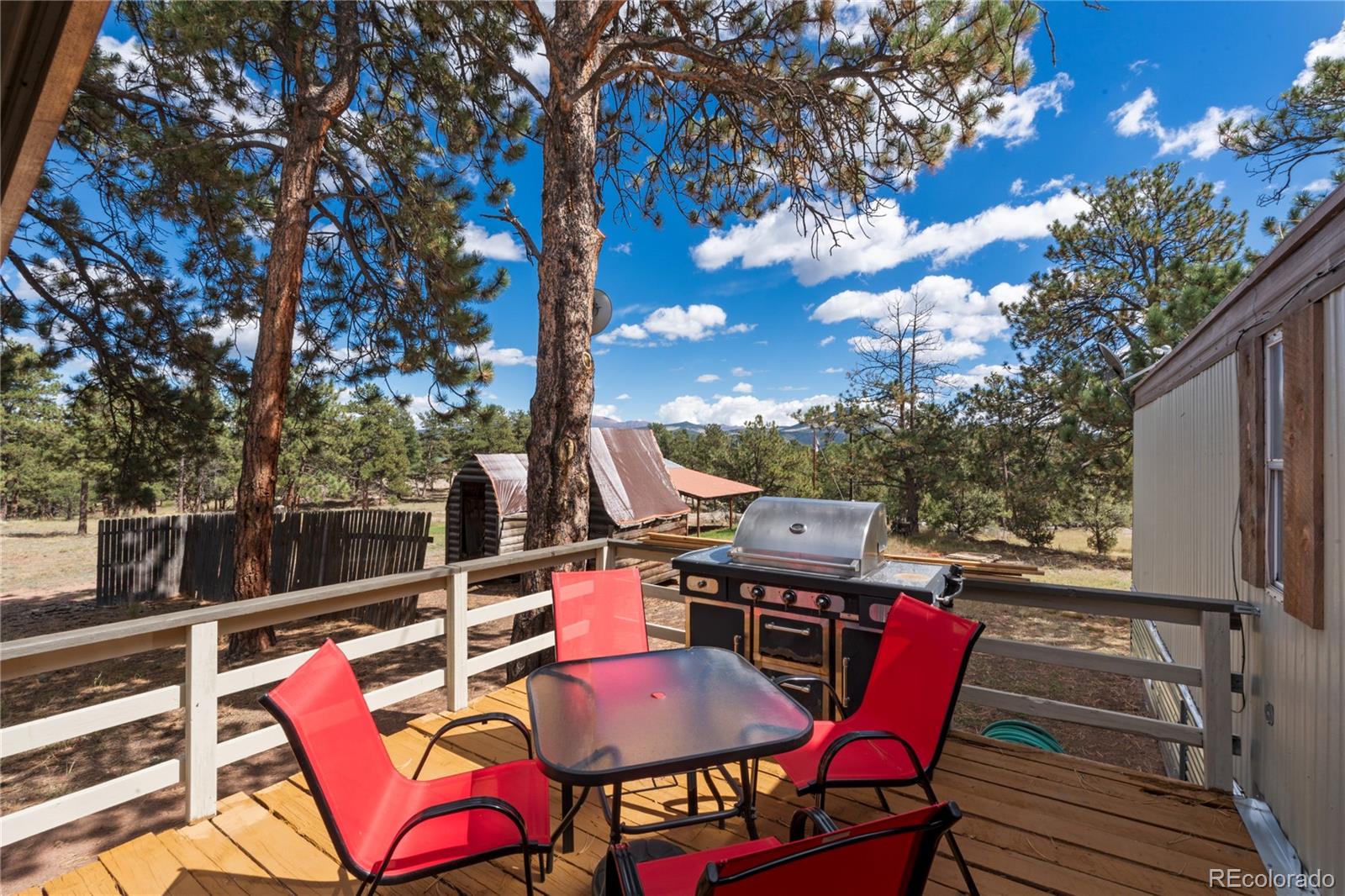 MLS Image #4 for 957  arapahoe drive,florissant, Colorado