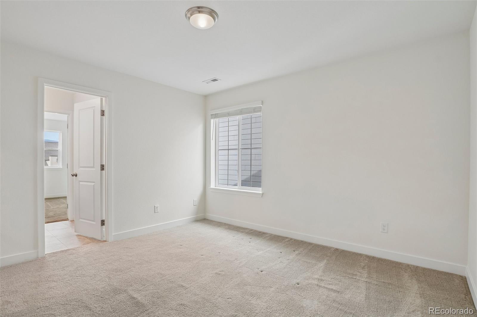MLS Image #28 for 8178  mount kataka street,littleton, Colorado