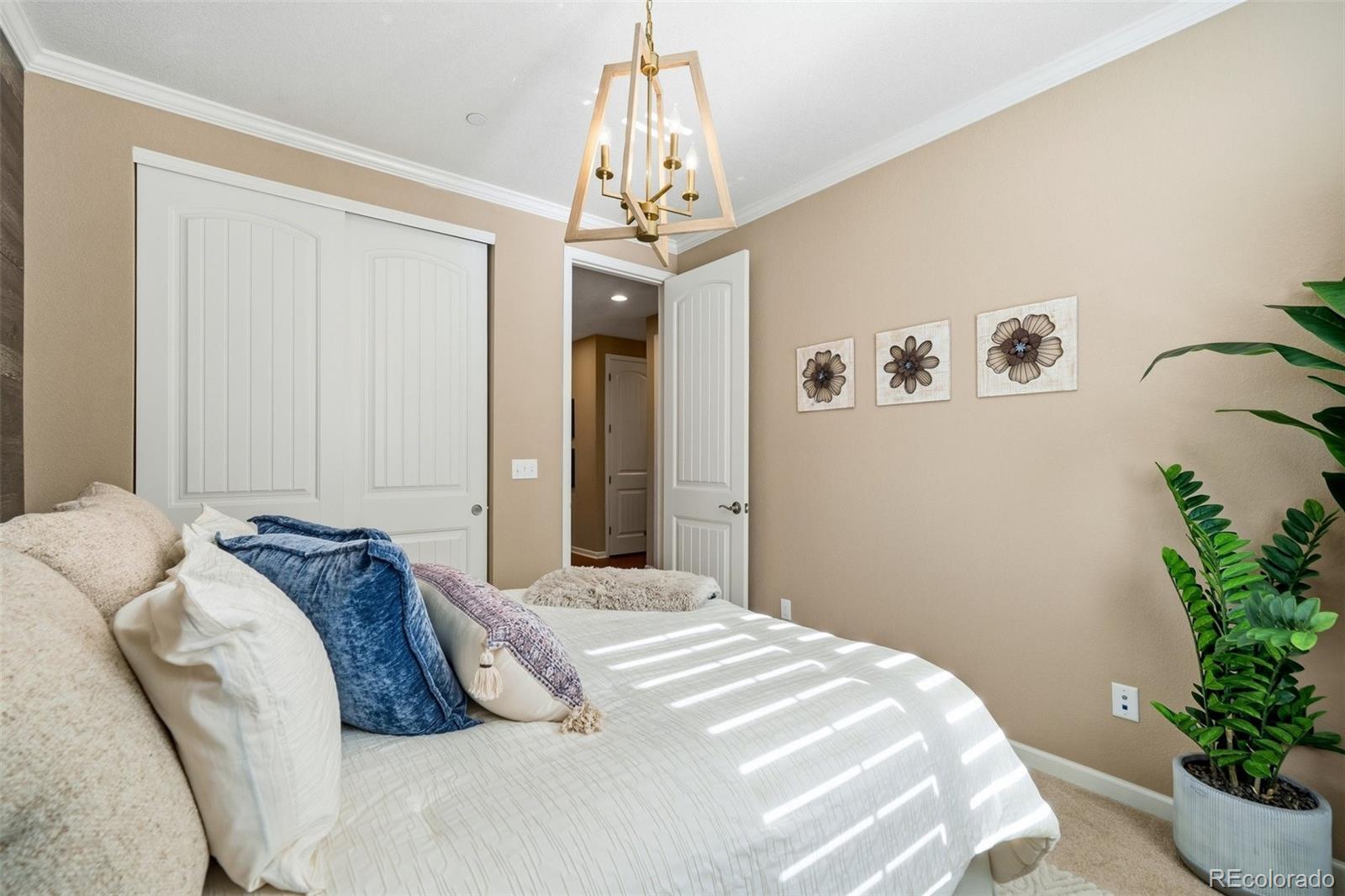 MLS Image #19 for 5074  covelo drive,castle rock, Colorado