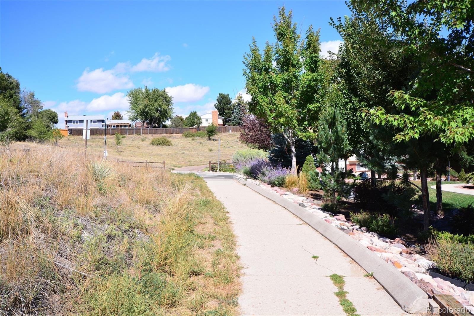MLS Image #32 for 5020  barcelona way,colorado springs, Colorado