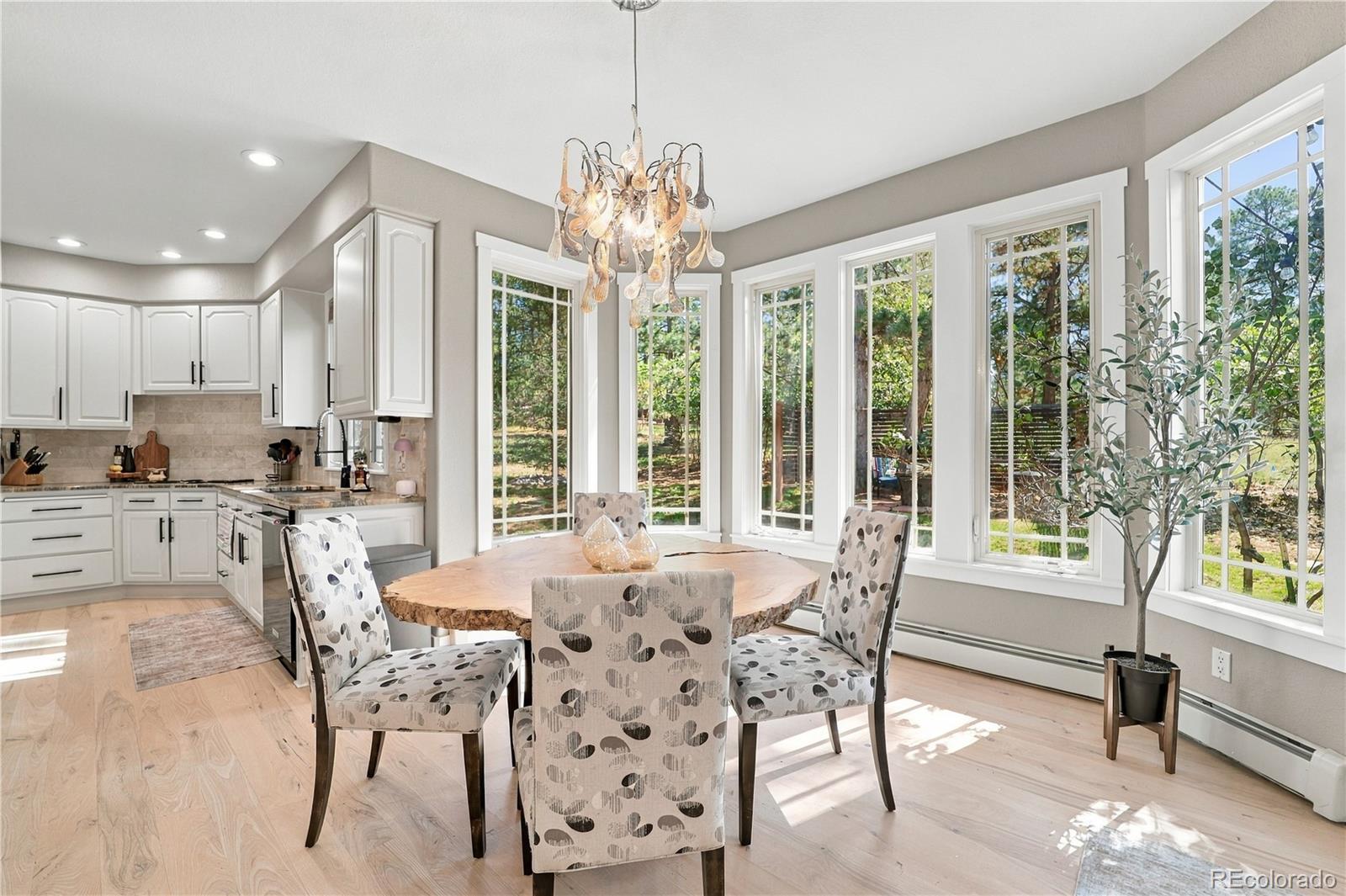 MLS Image #14 for 7994  towhee road,parker, Colorado