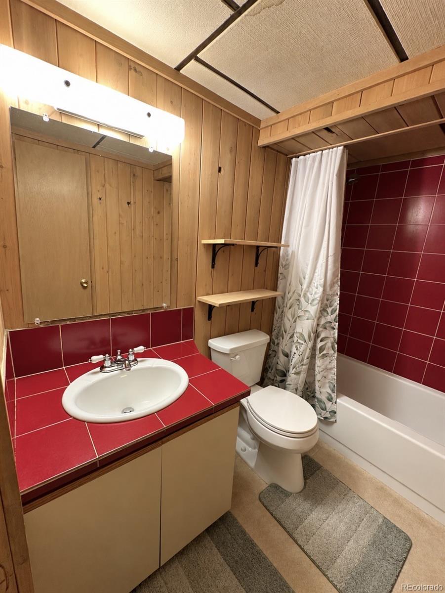 MLS Image #11 for 8899  william cody drive,evergreen, Colorado