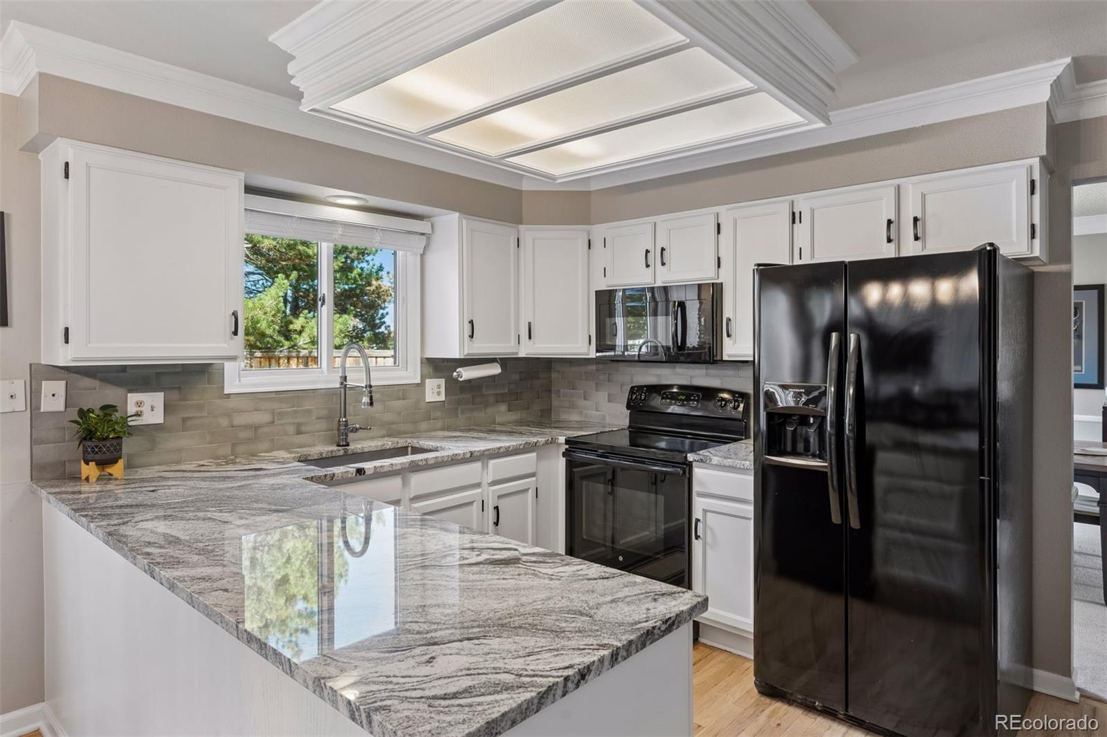 MLS Image #14 for 9960  millrock terrace,parker, Colorado