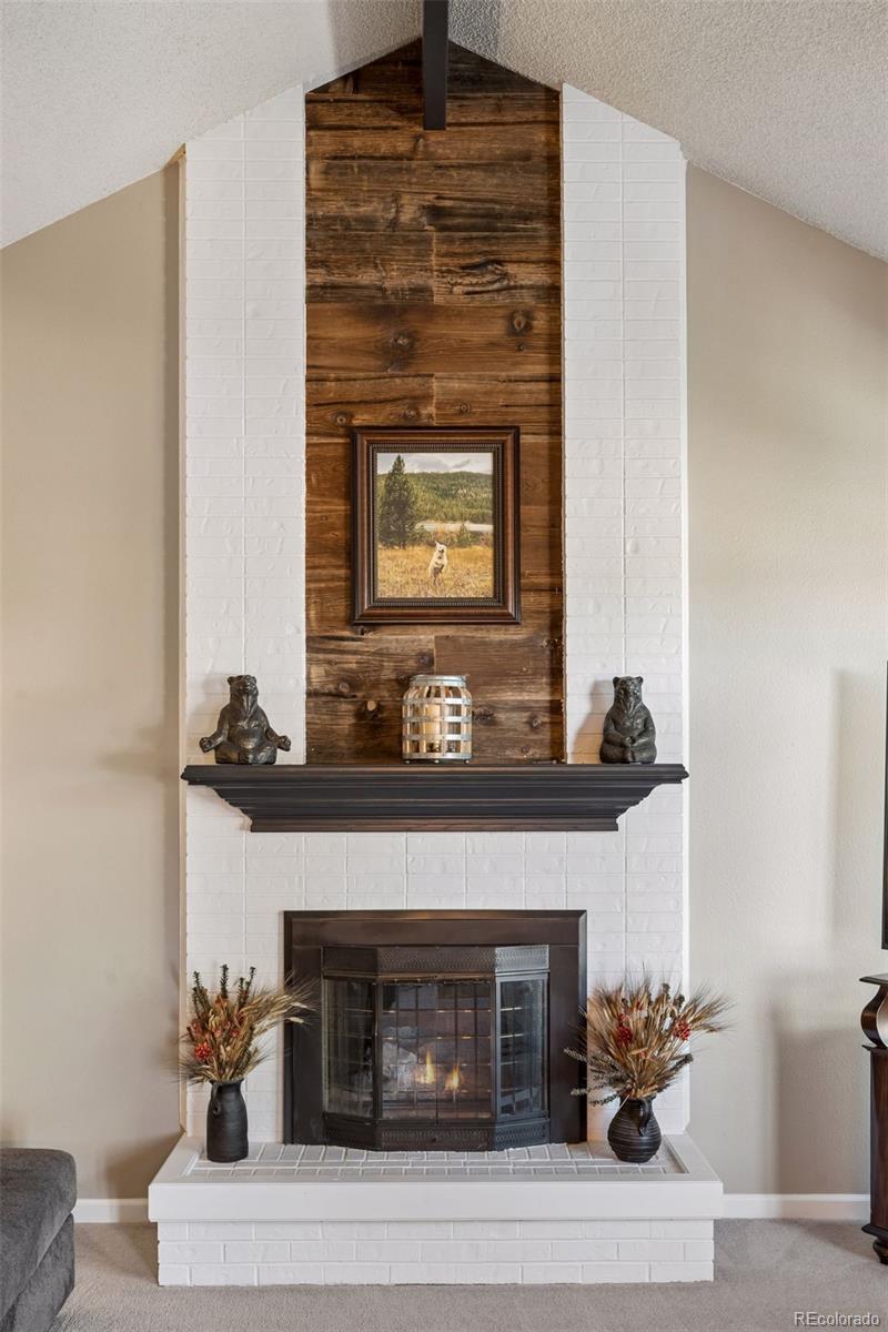 MLS Image #21 for 9960  millrock terrace,parker, Colorado
