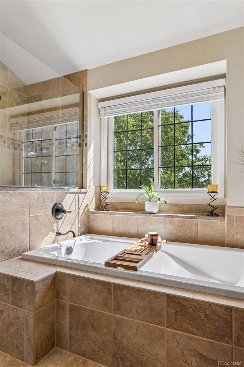 MLS Image #31 for 9960  millrock terrace,parker, Colorado