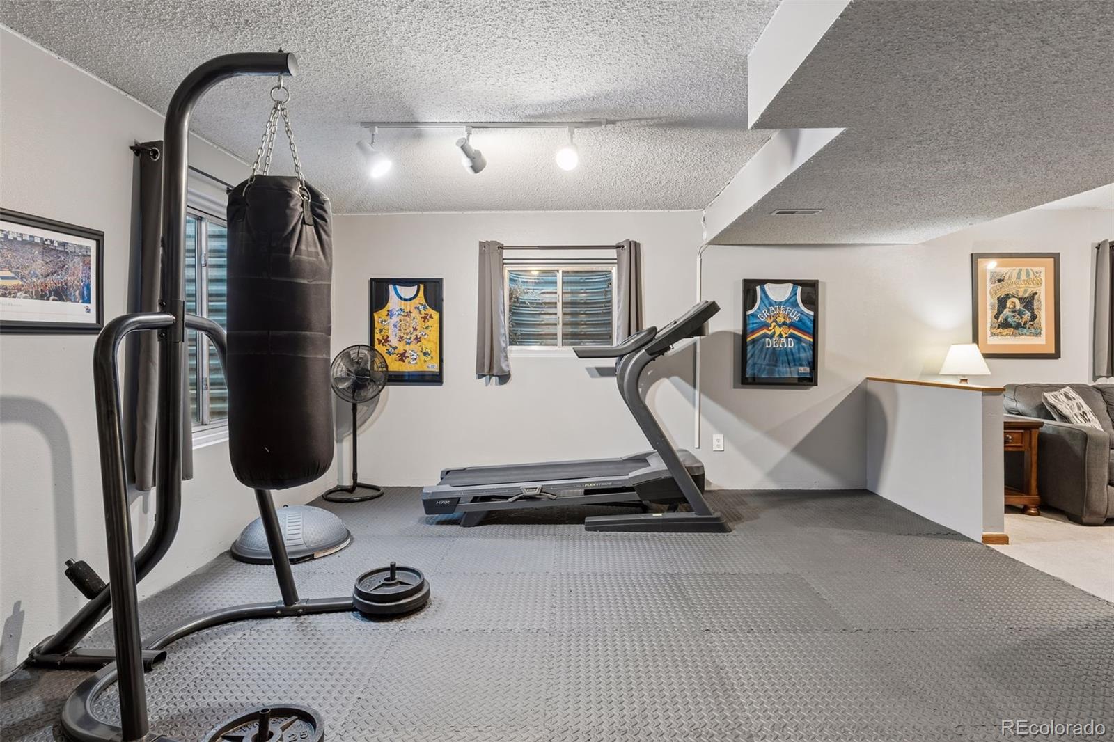 MLS Image #42 for 9960  millrock terrace,parker, Colorado
