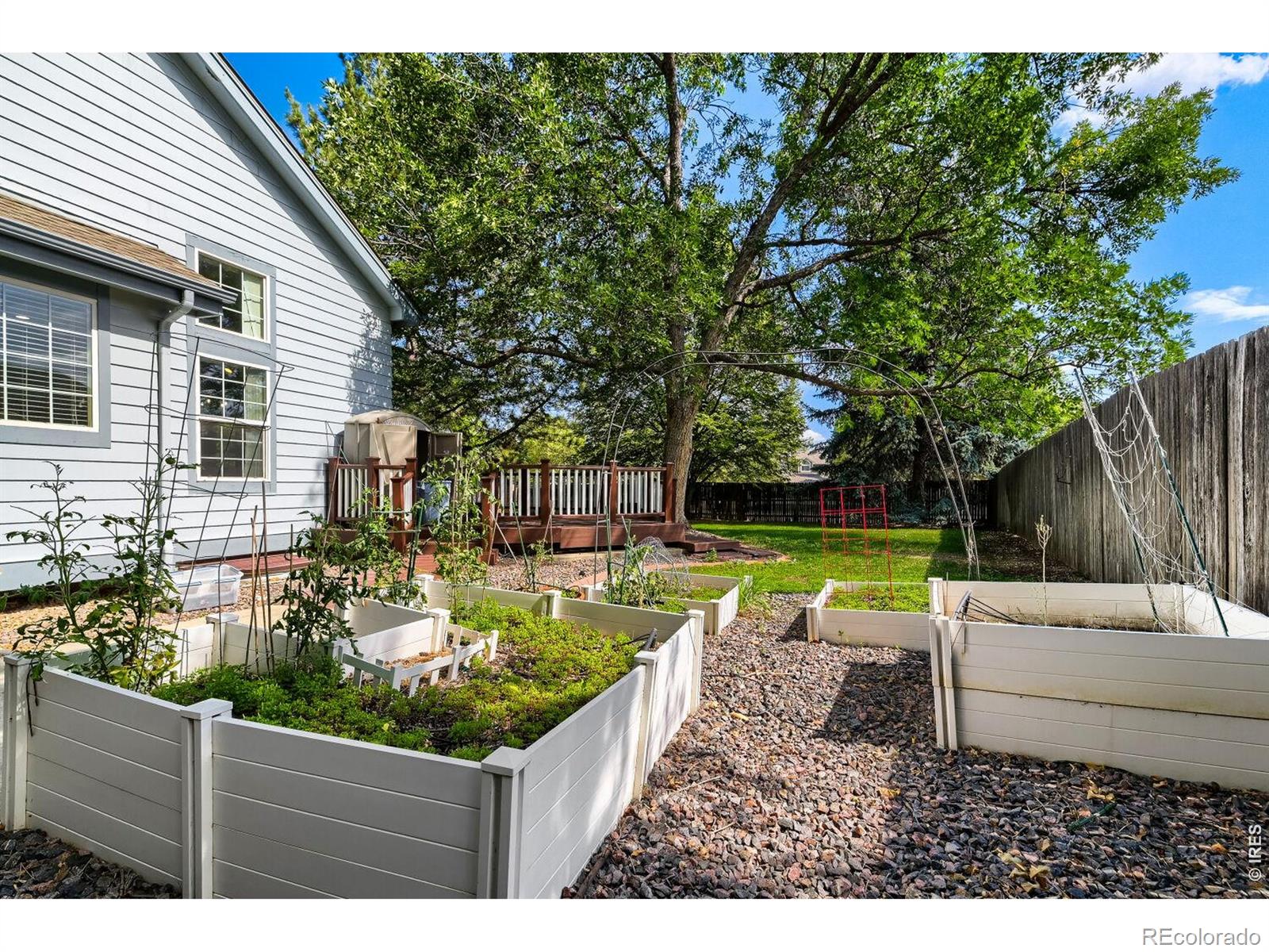 MLS Image #25 for 7103  dry creek court,niwot, Colorado