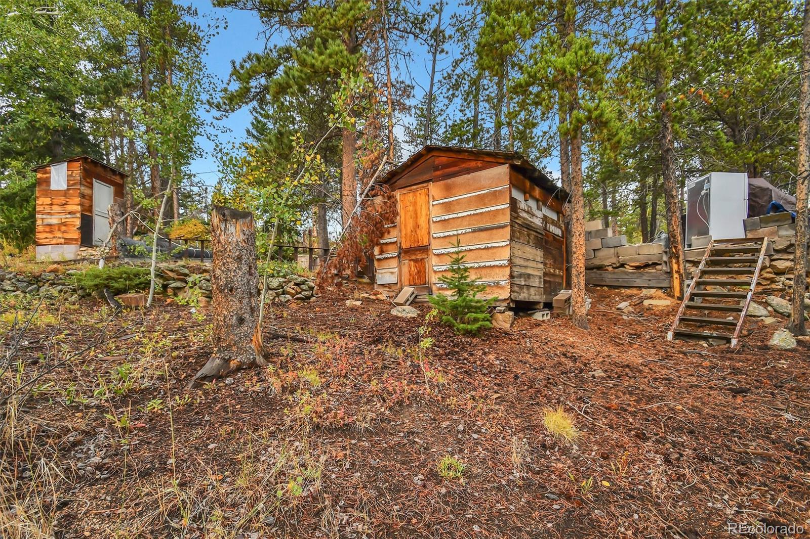 MLS Image #7 for 20  outlook drive,golden, Colorado