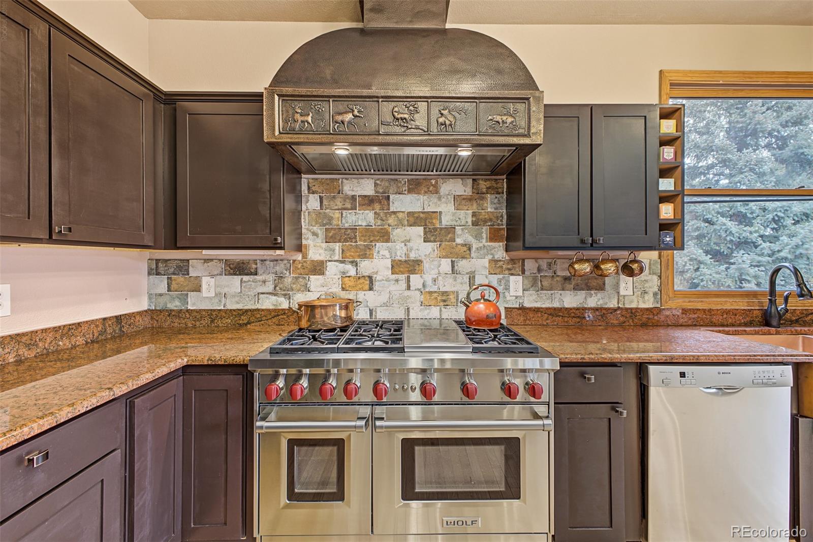MLS Image #12 for 28465  cragmont drive,evergreen, Colorado