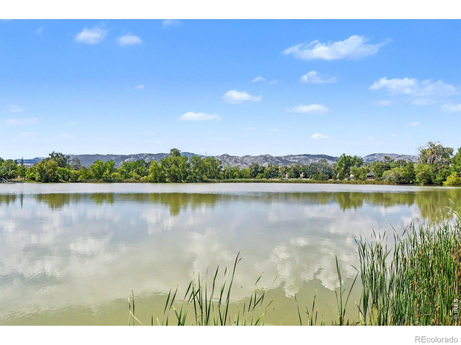 MLS Image #14 for 2937  dean drive,fort collins, Colorado