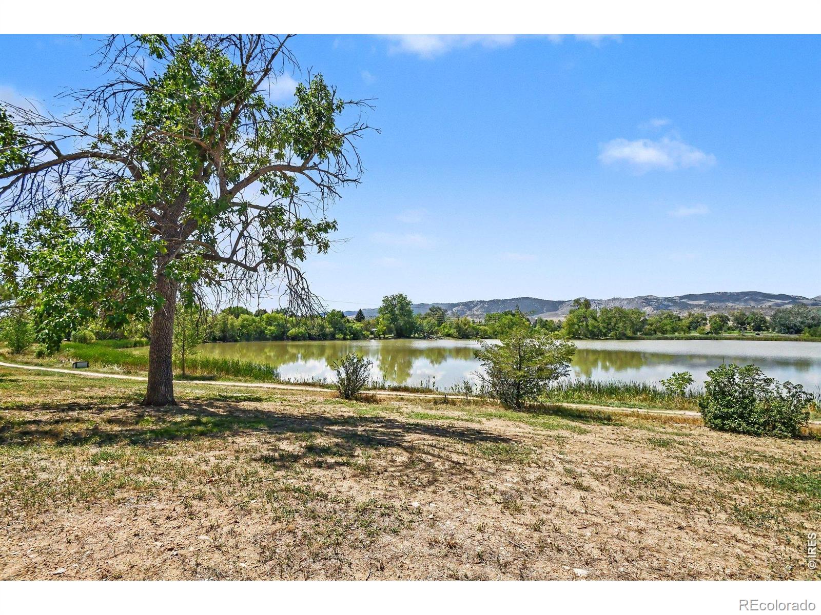 MLS Image #15 for 2937  dean drive,fort collins, Colorado