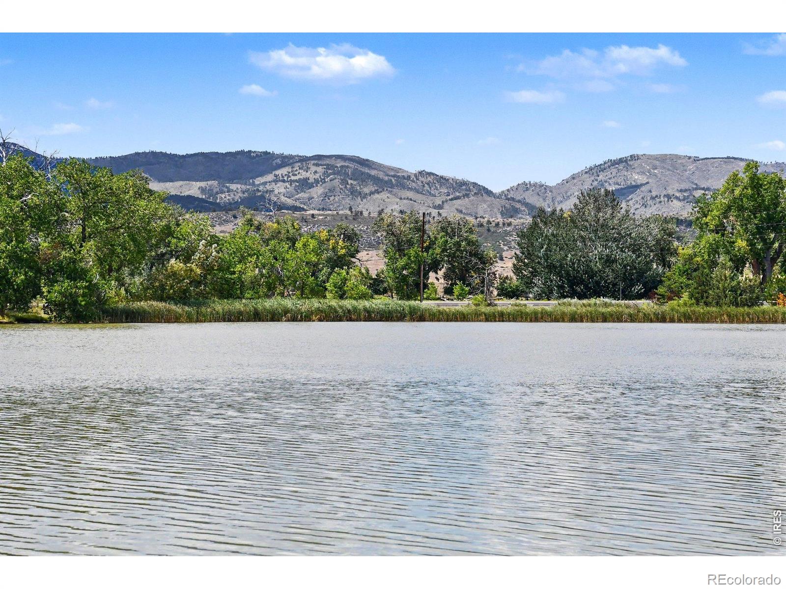 MLS Image #17 for 2937  dean drive,fort collins, Colorado