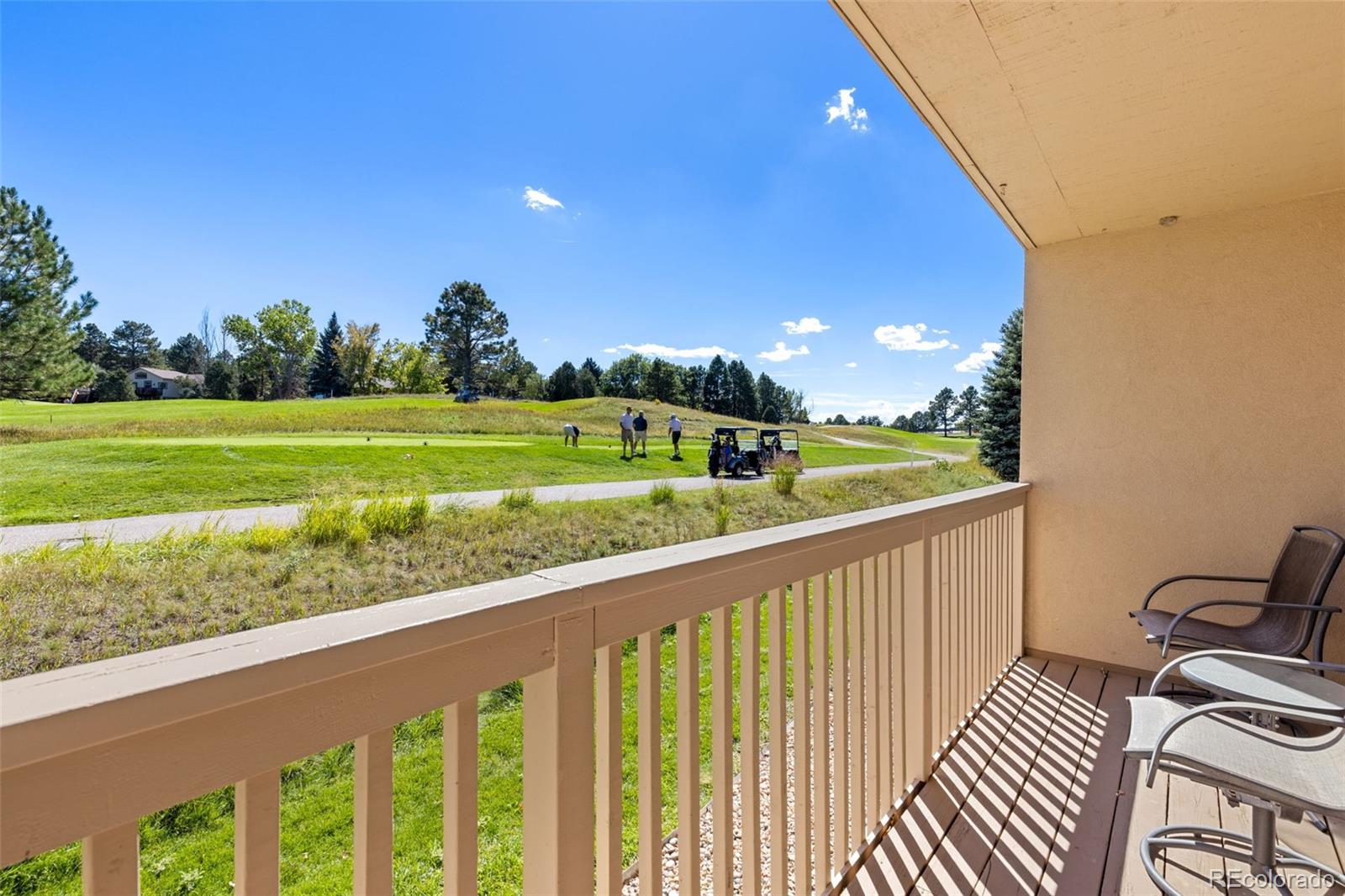 MLS Image #15 for 6696  pinewood drive,parker, Colorado