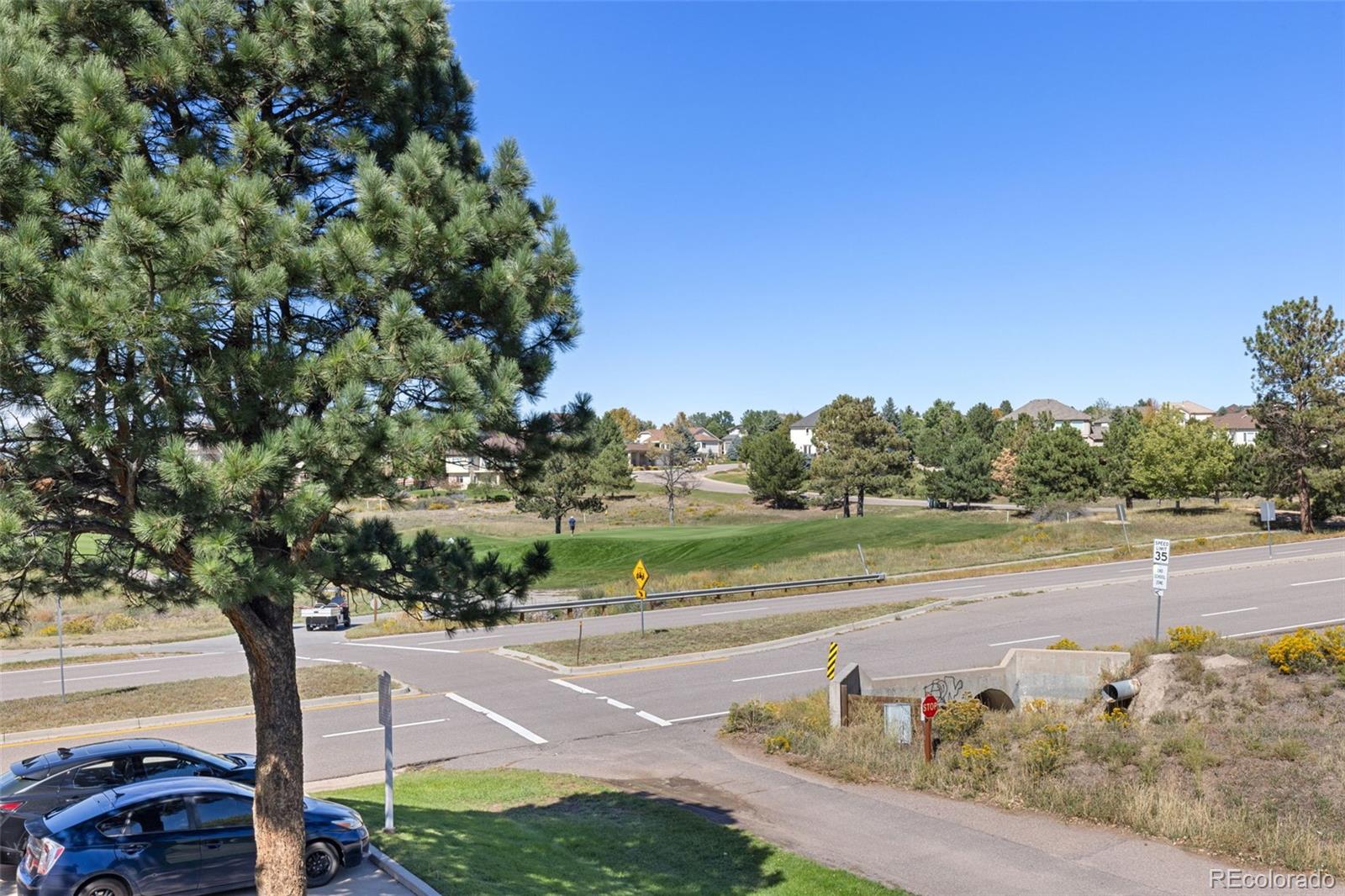 MLS Image #33 for 6696  pinewood drive,parker, Colorado