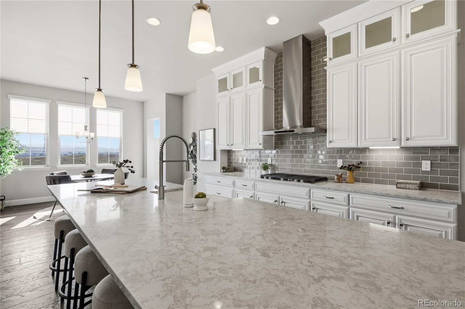 MLS Image #11 for 7933  piney river avenue,littleton, Colorado