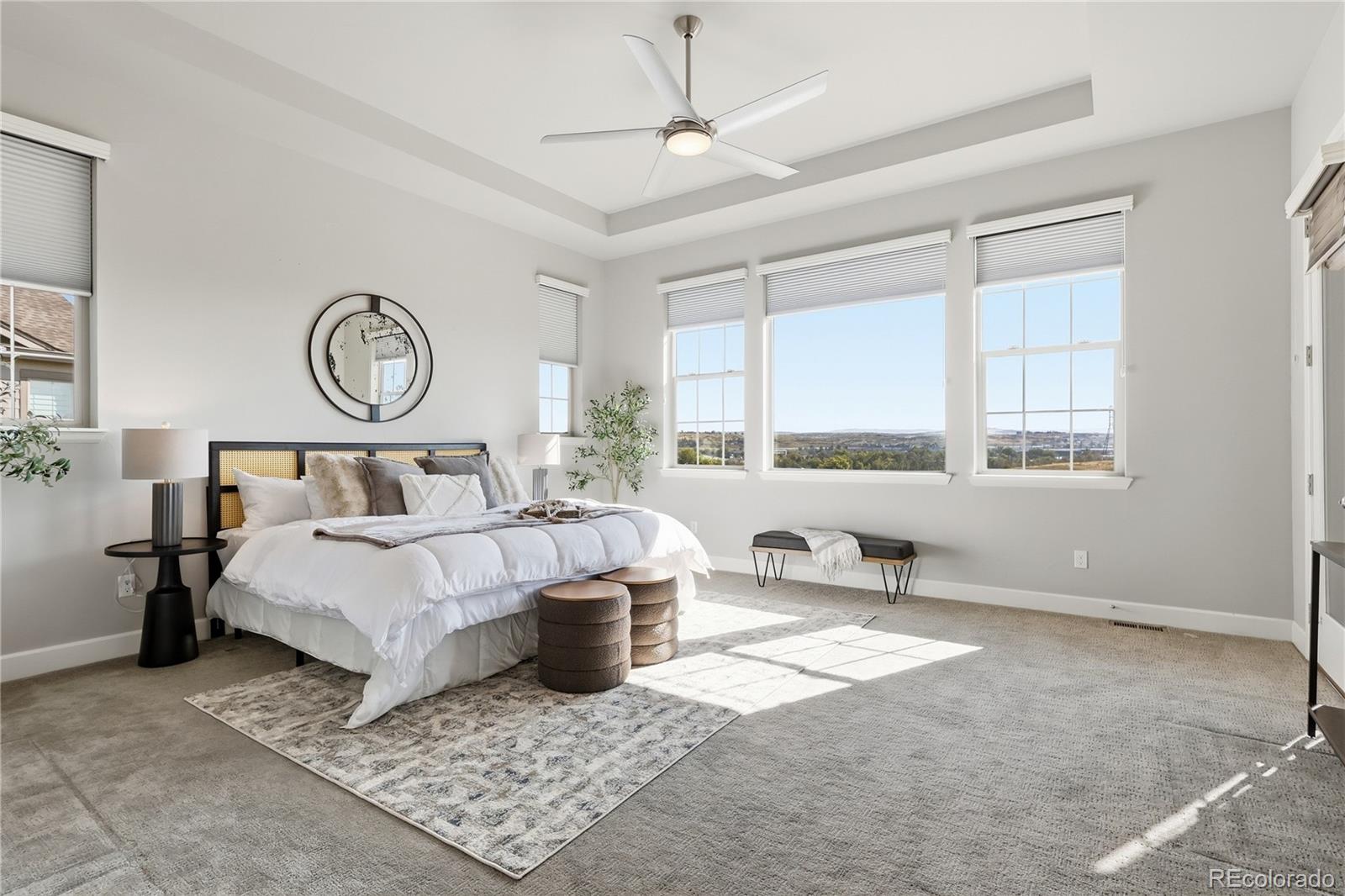 MLS Image #20 for 7933  piney river avenue,littleton, Colorado