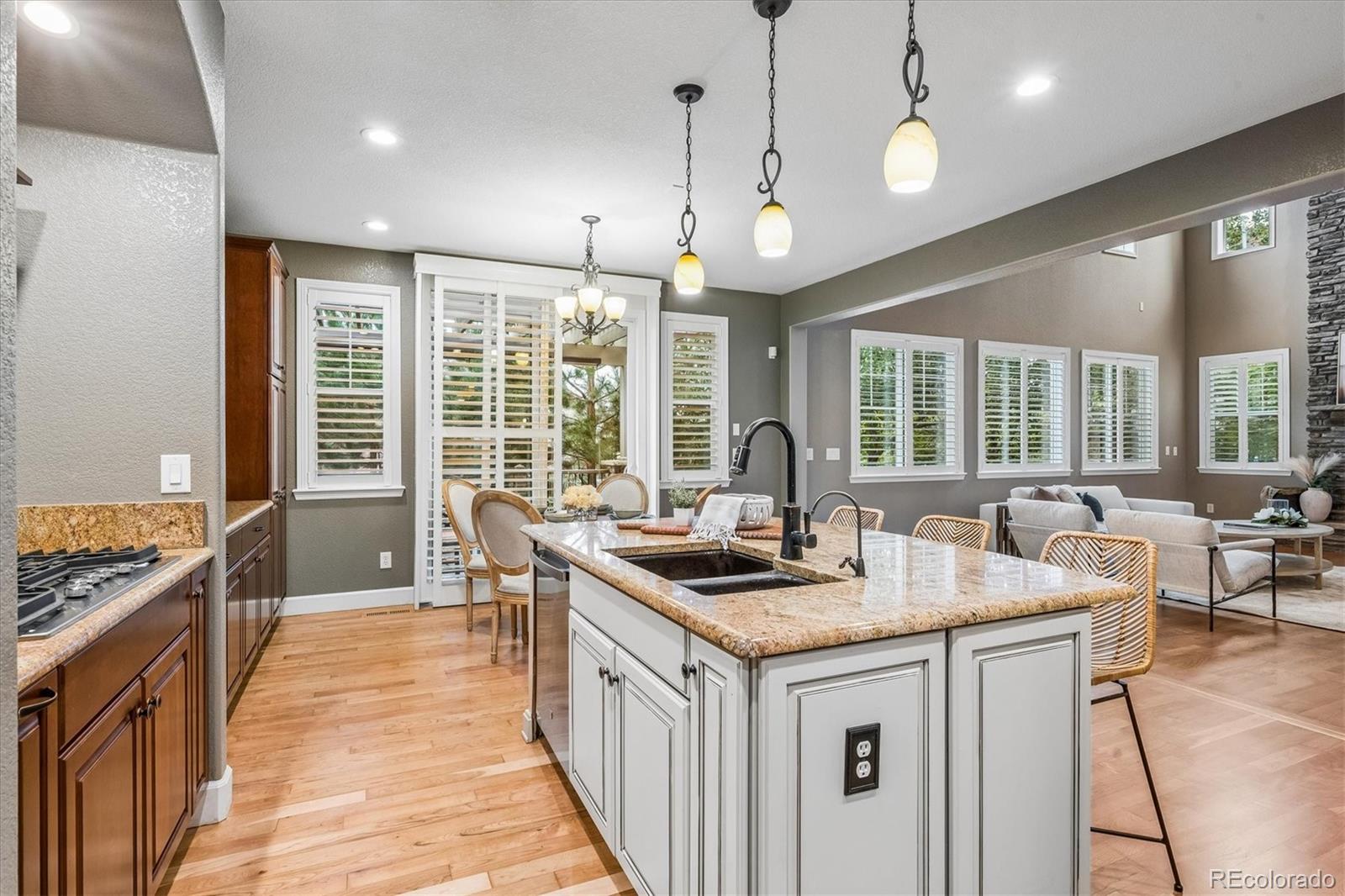 MLS Image #9 for 4395  cedarpoint place,highlands ranch, Colorado
